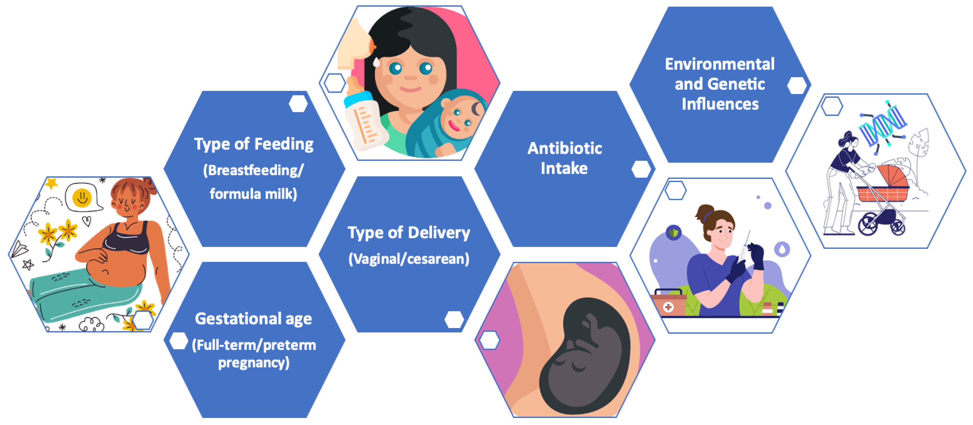 Nutrients 16 01823 g004