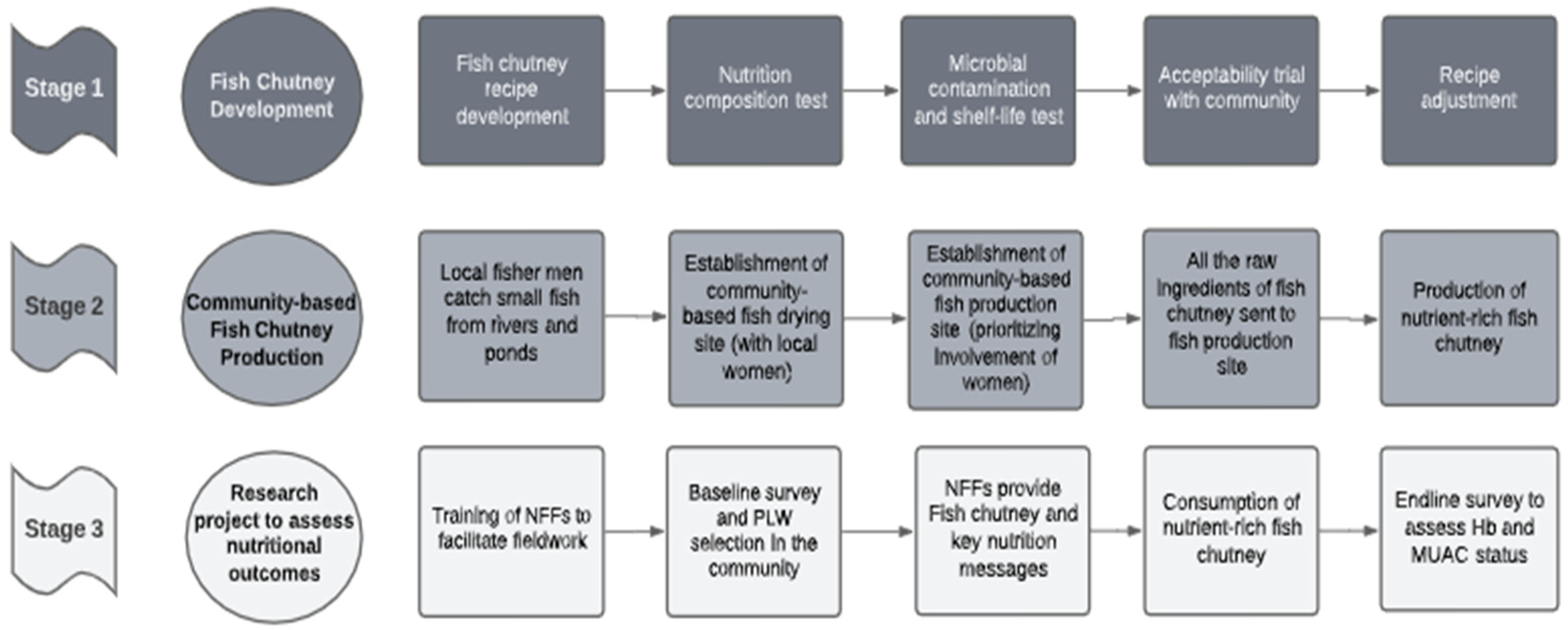 Nutrients 16 01829 g001