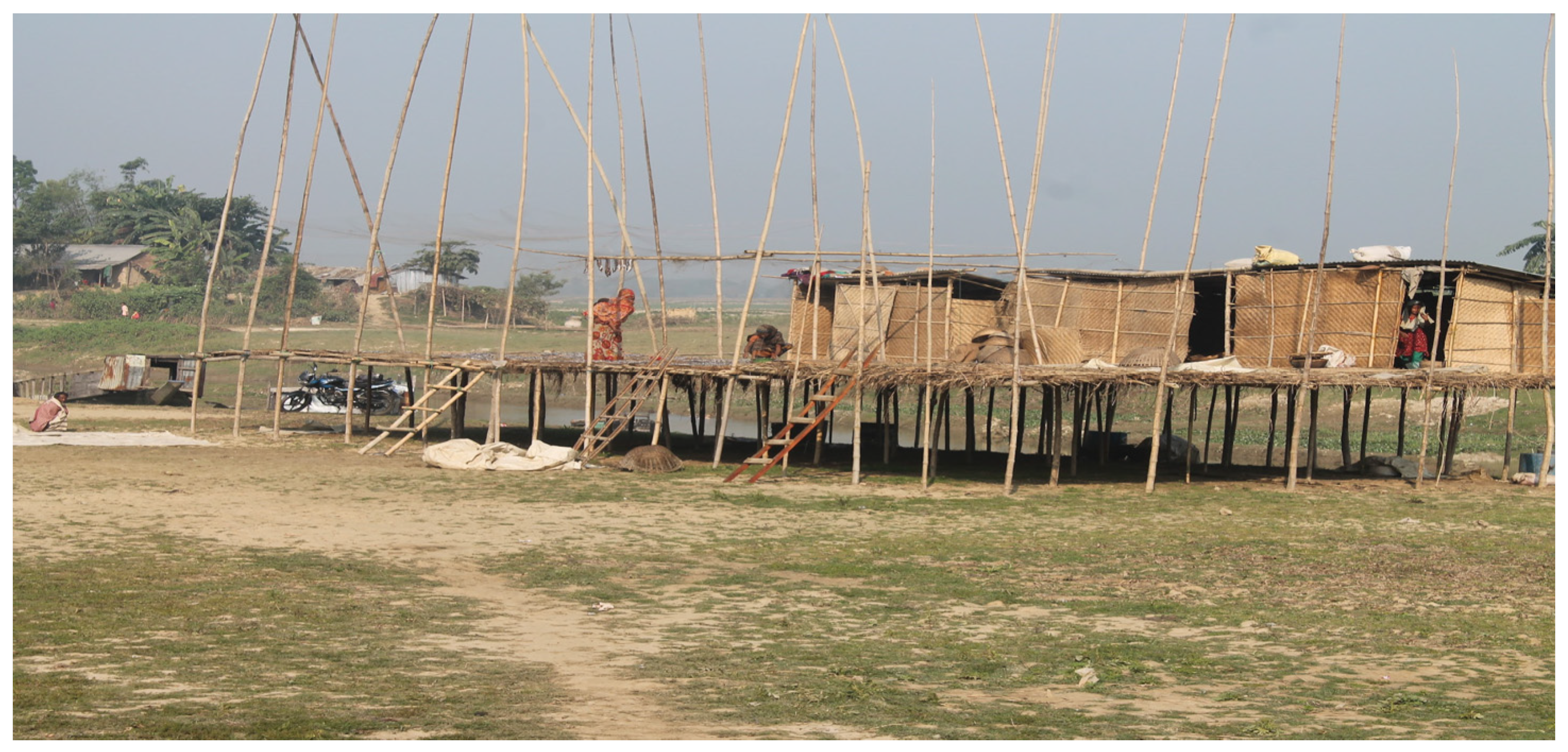 Nutrients 16 01829 g003