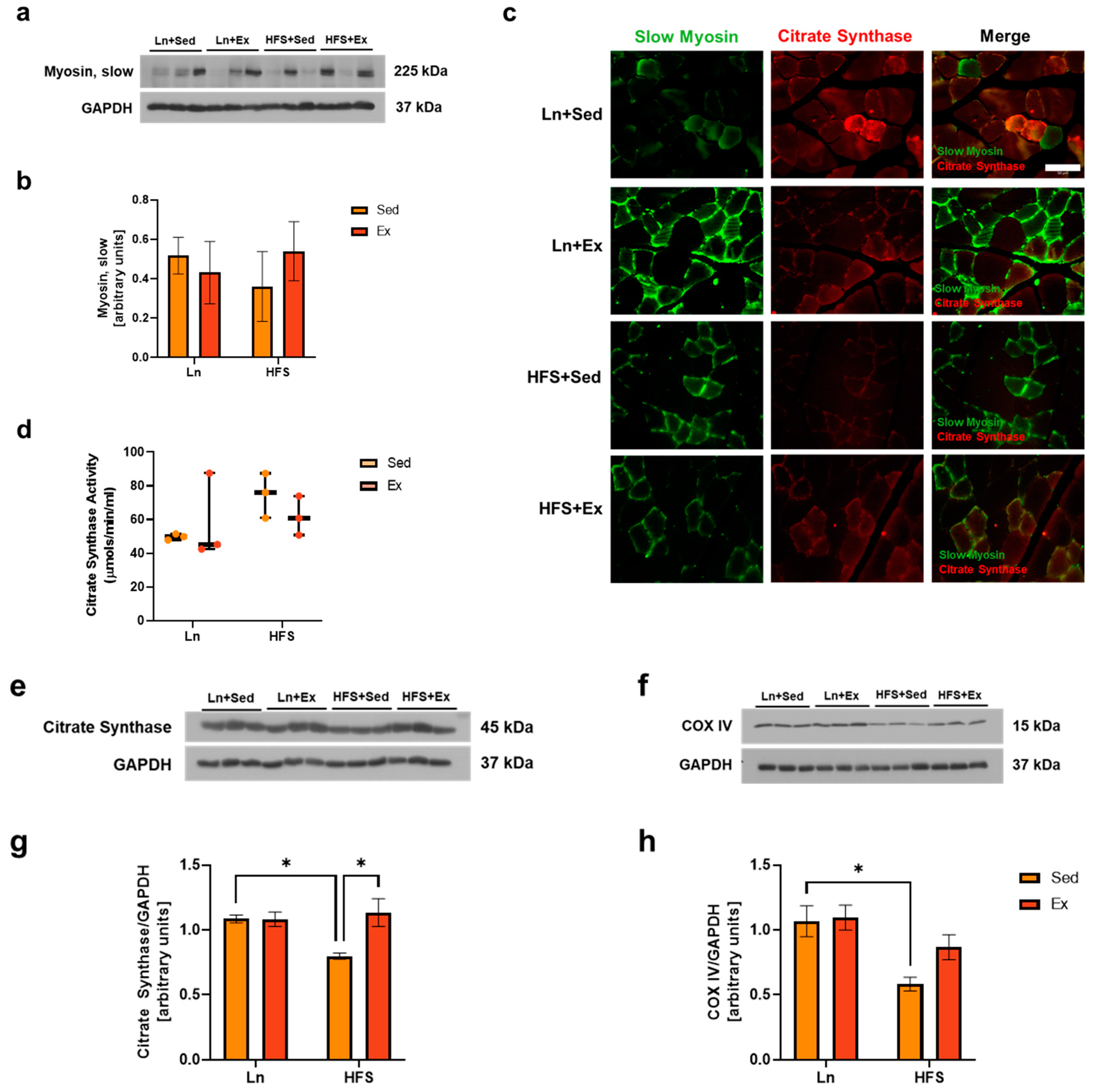 Nutrients 16 01836 g002