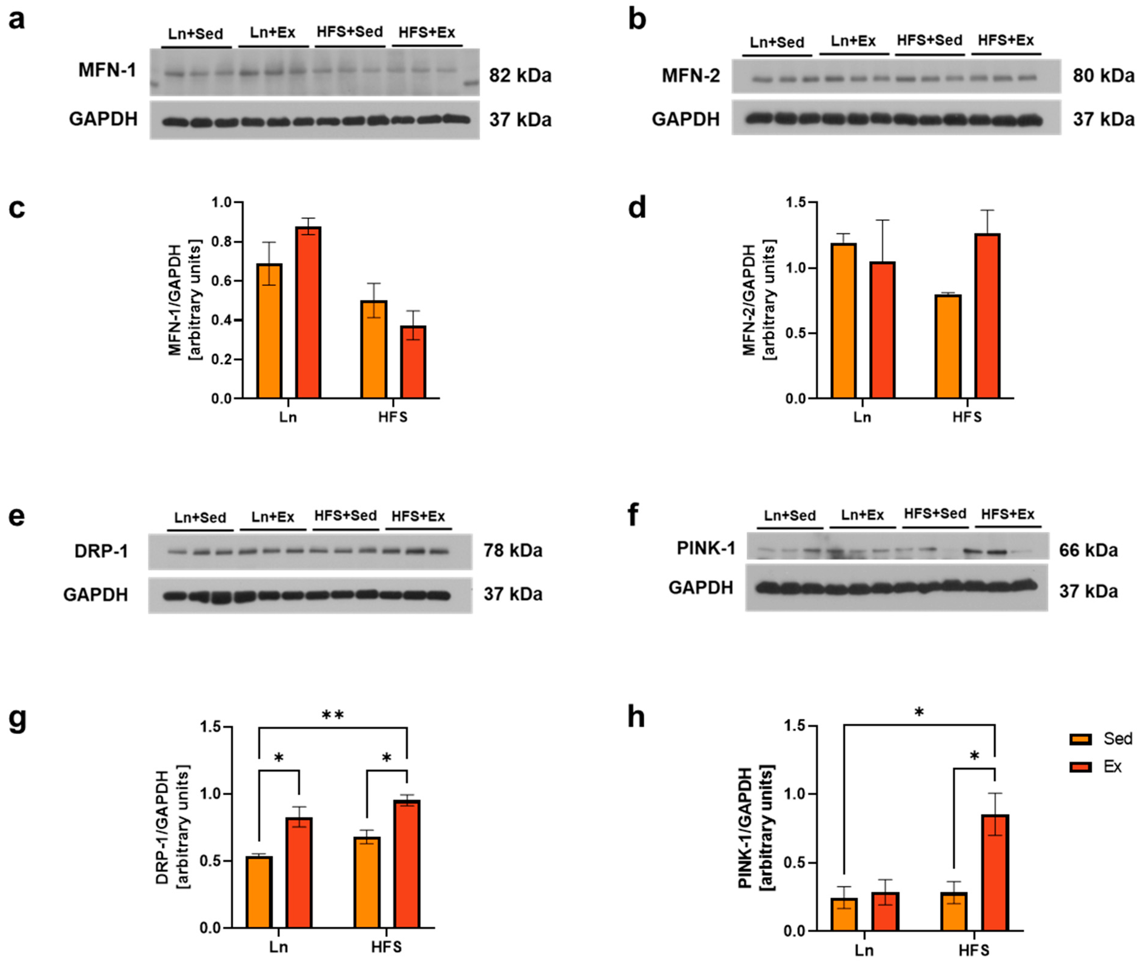 Nutrients 16 01836 g004