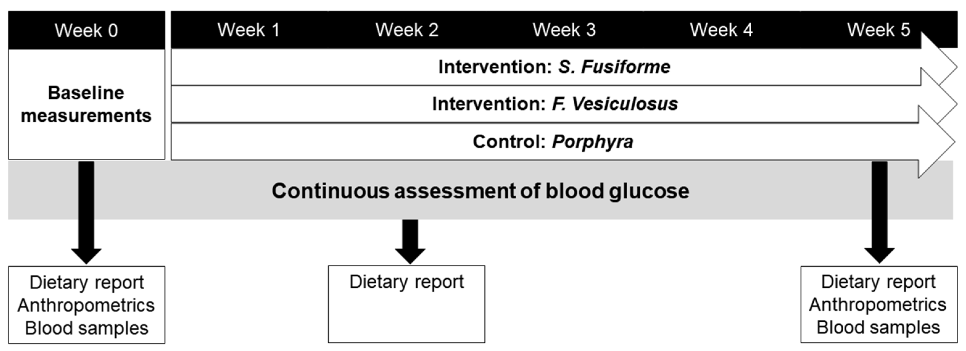 Nutrients 16 01837 g001