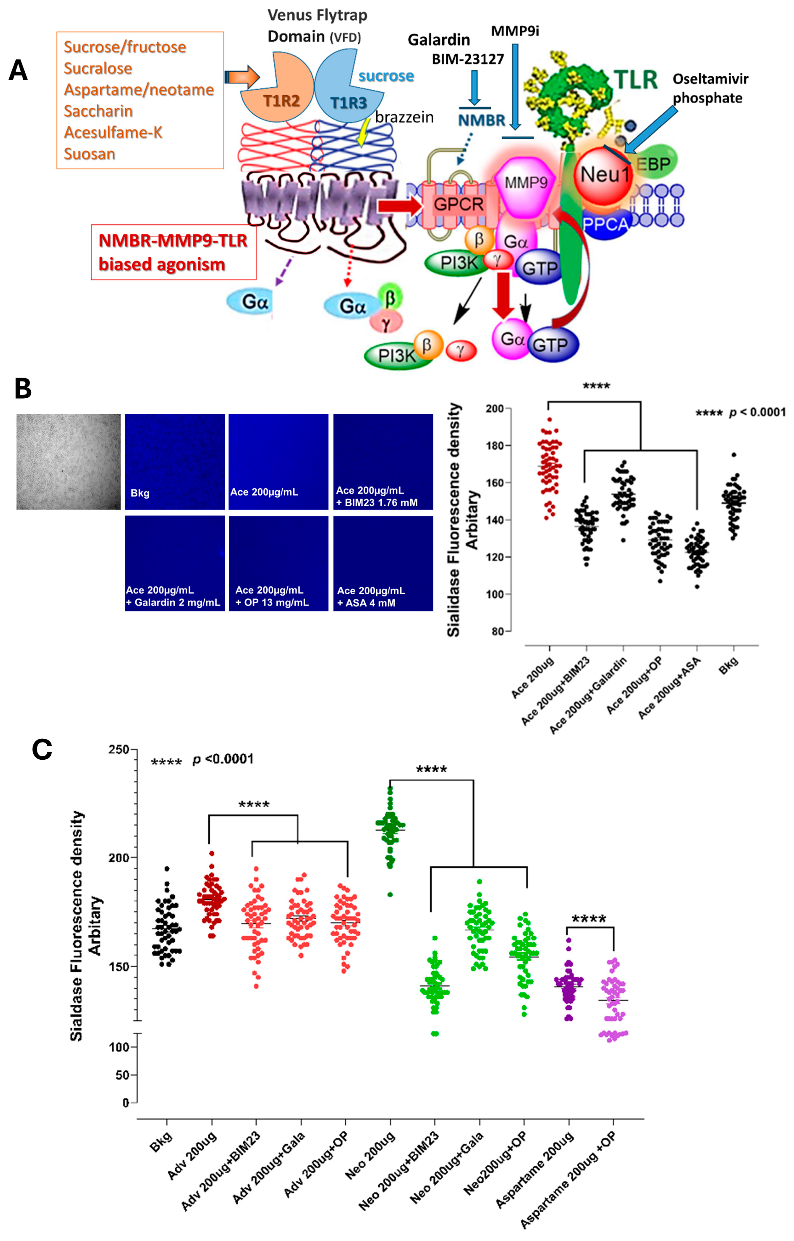 Nutrients 16 01840 g001