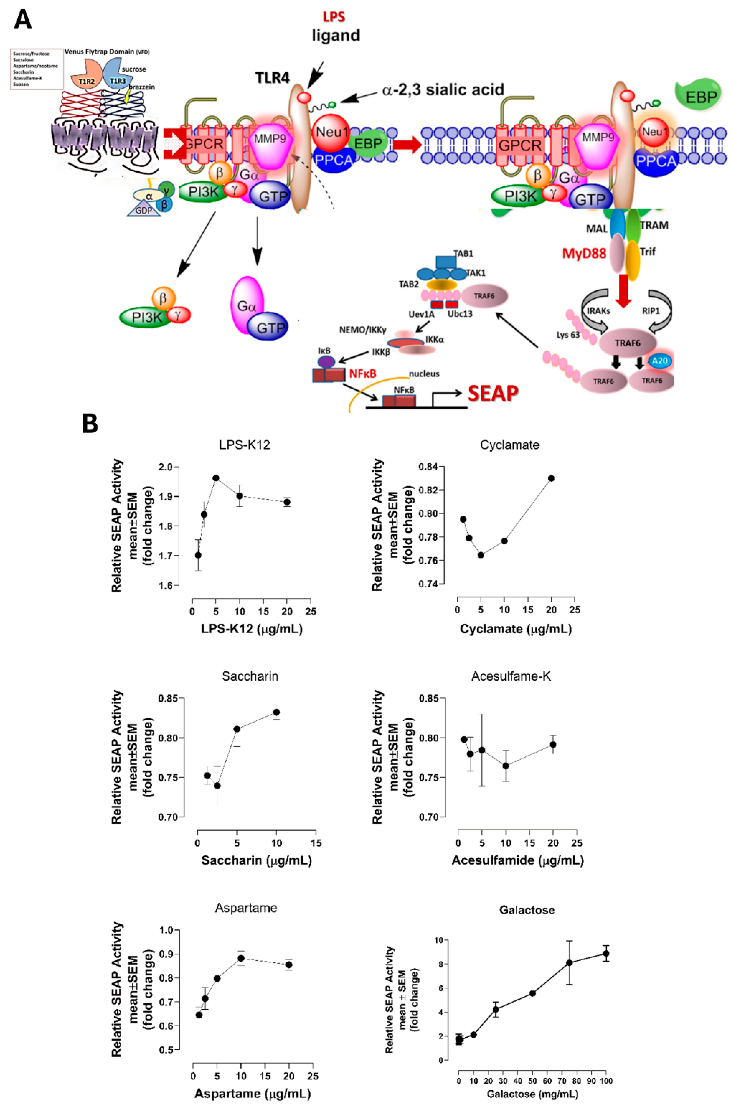 Nutrients 16 01840 g004