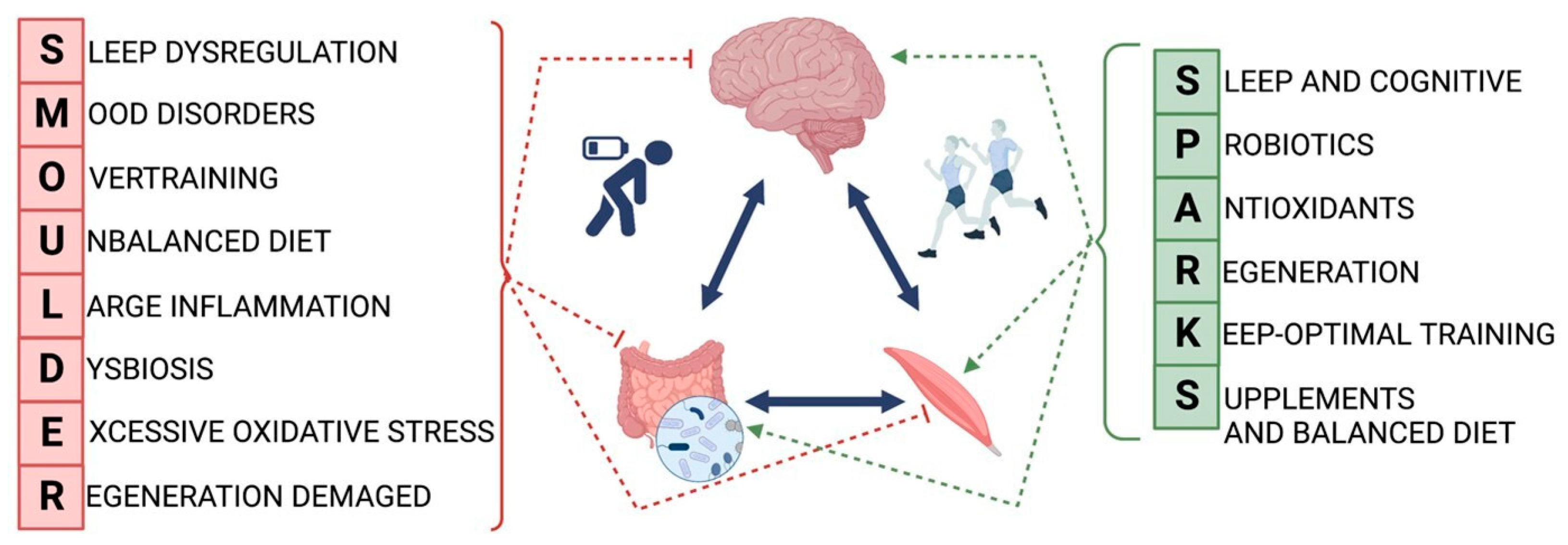 Nutrients 16 01842 g001 Nutrients 16 01842 g001