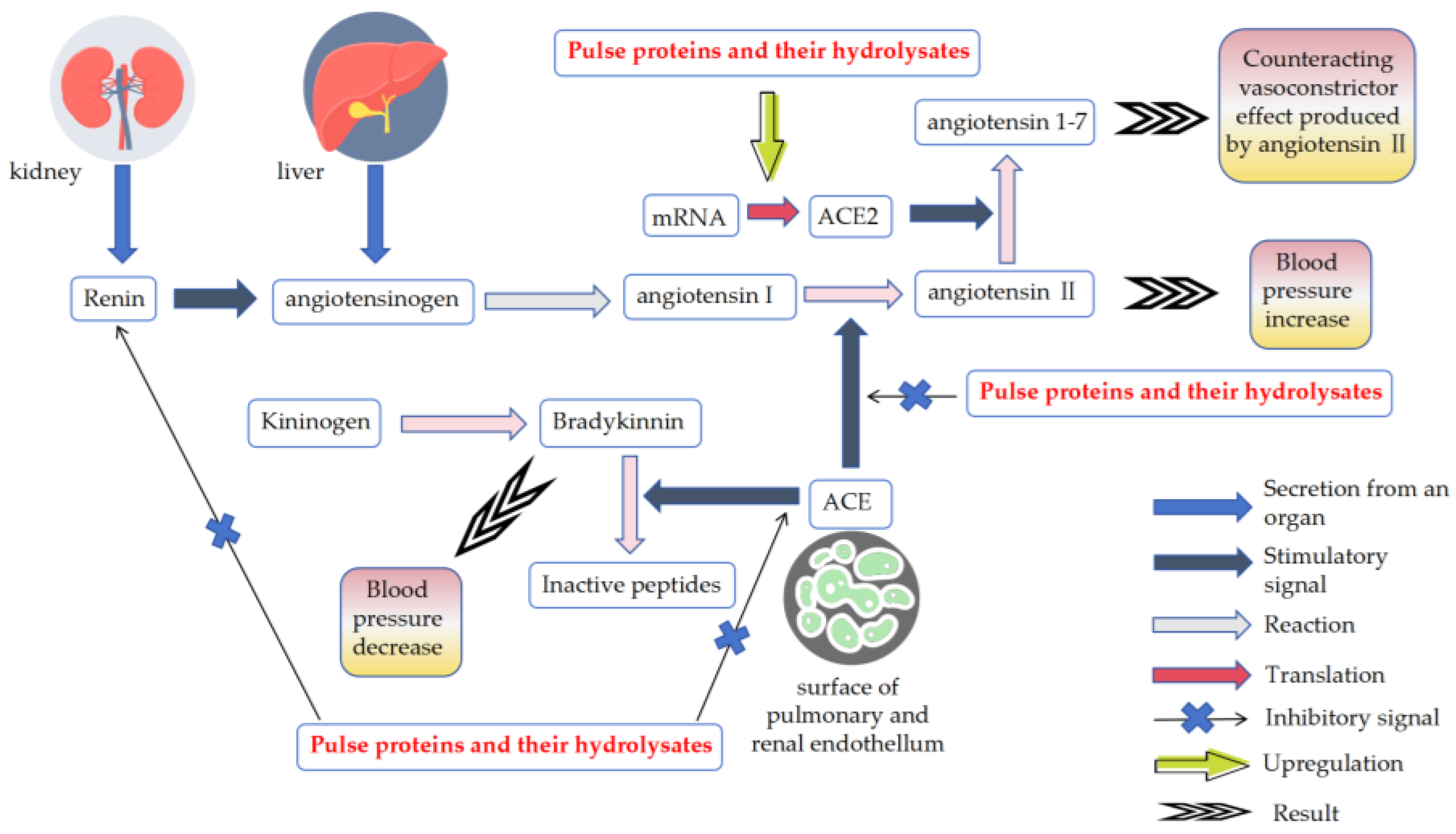 Nutrients 16 01845 g002