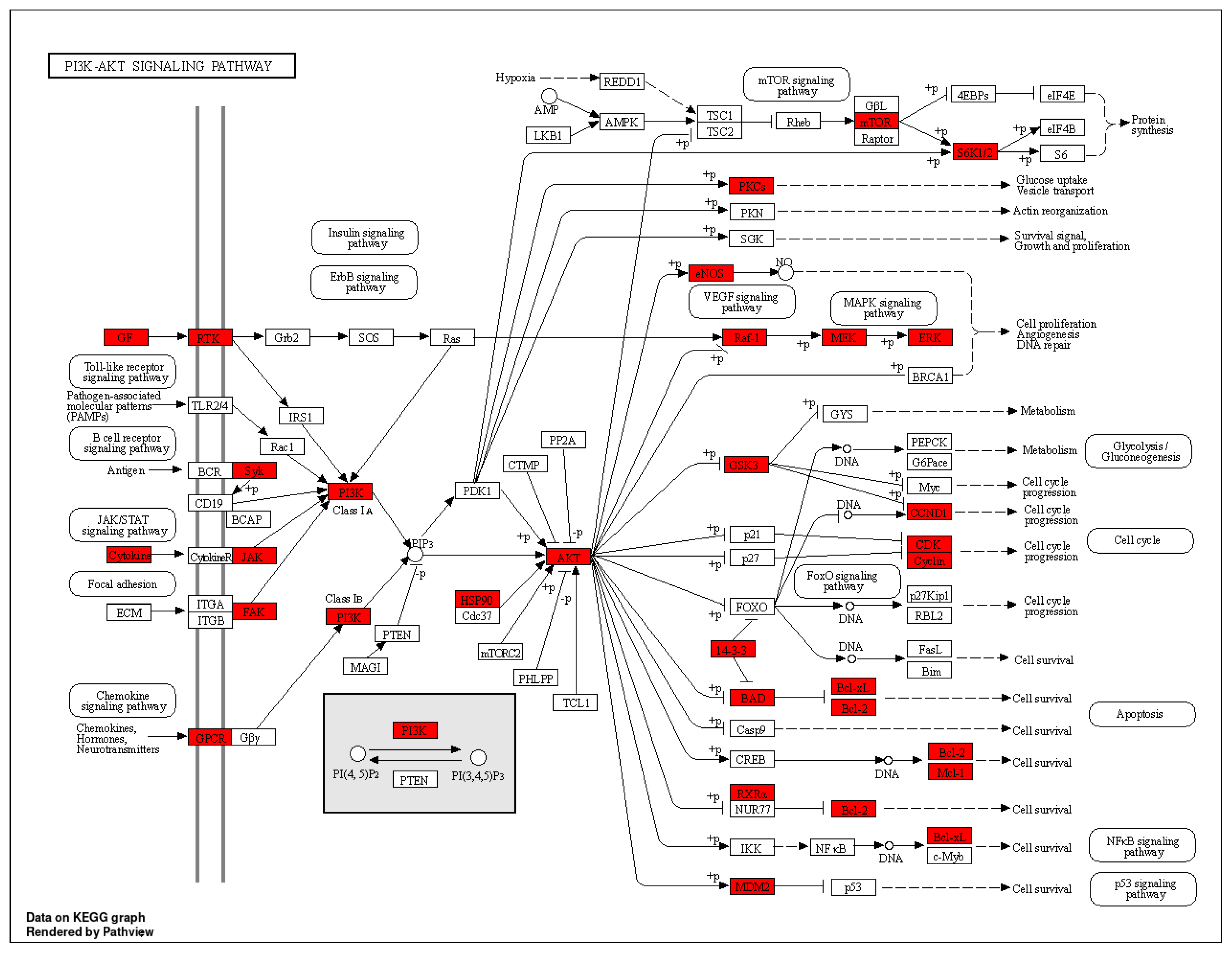 Nutrients 16 01850 g007