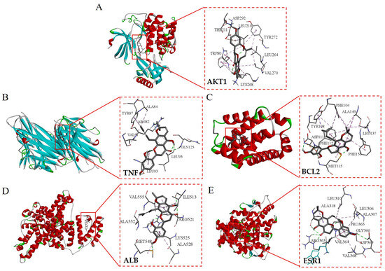 Based on Network Pharmacology and Molecular Docking, the