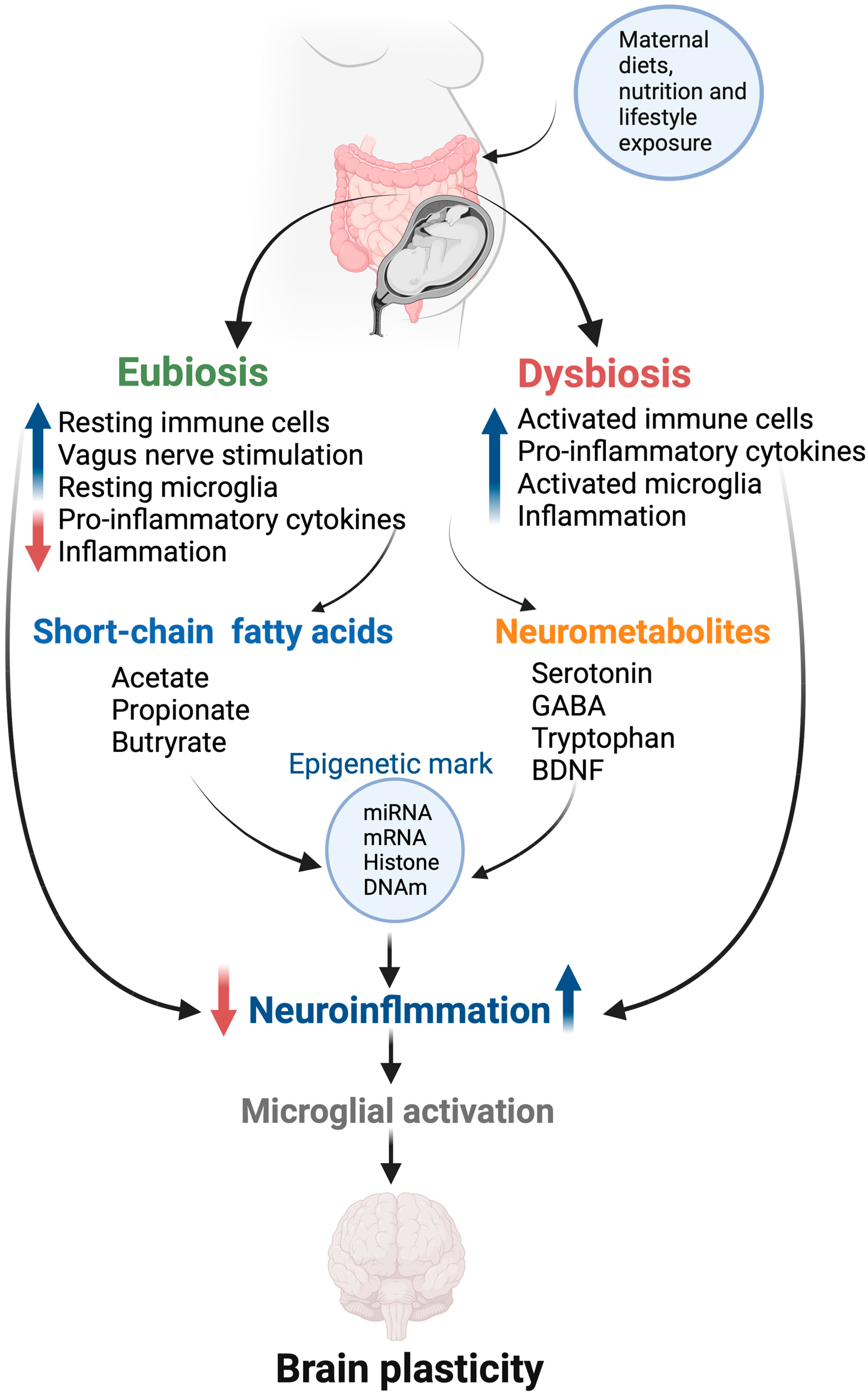 Nutrients 16 01860 g003 Nutrients 16 01860 g003
