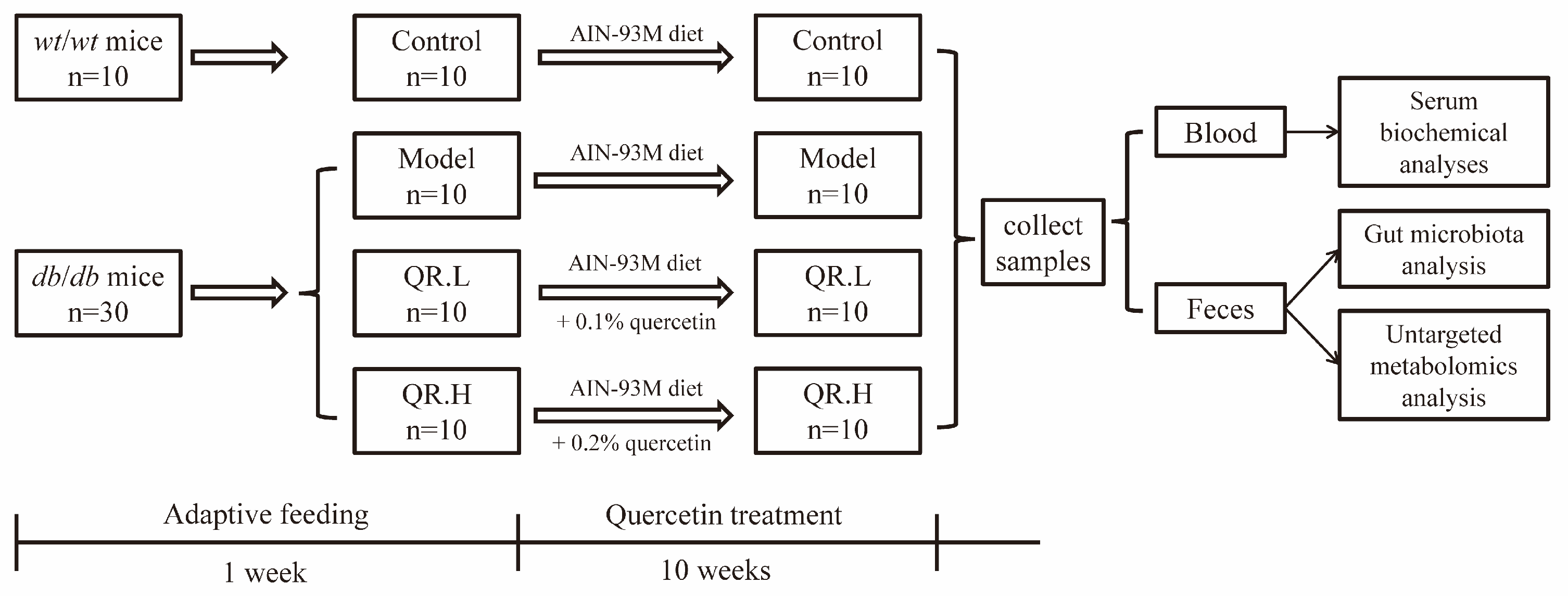 Nutrients 16 01870 g001