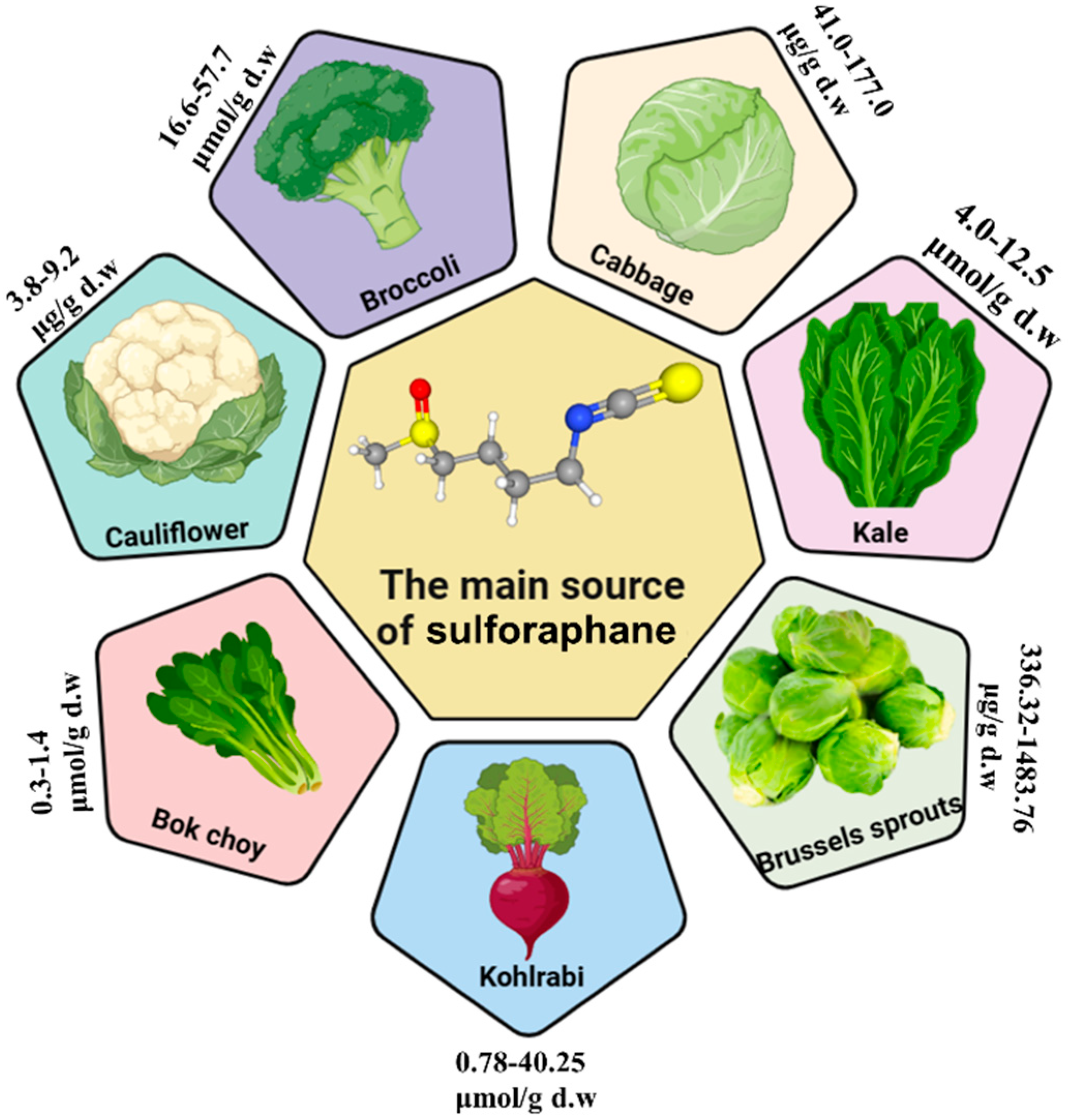 Nutrients 16 01877 g002