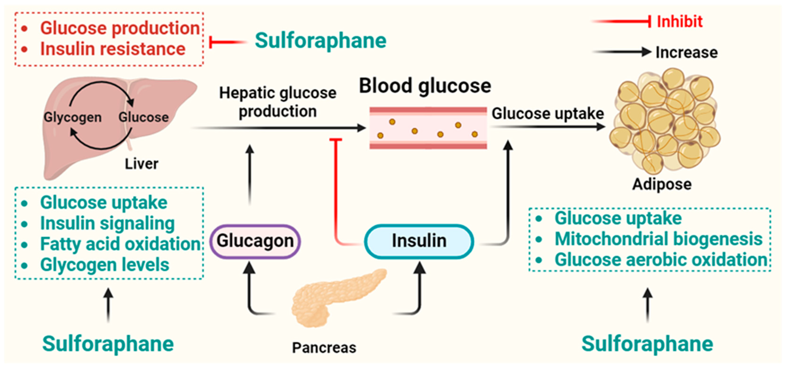 Nutrients 16 01877 g003