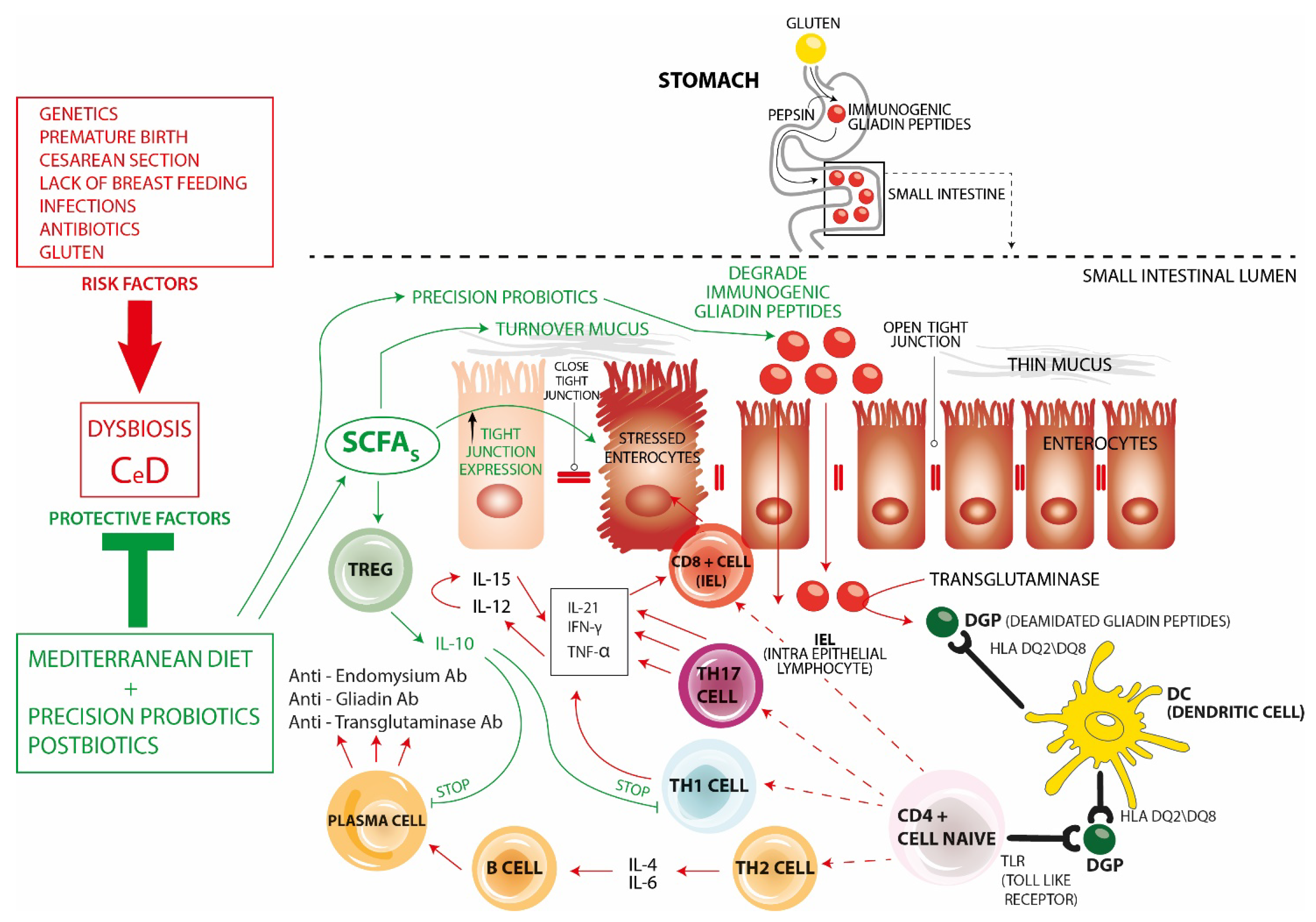 Nutrients 16 01882 g001
