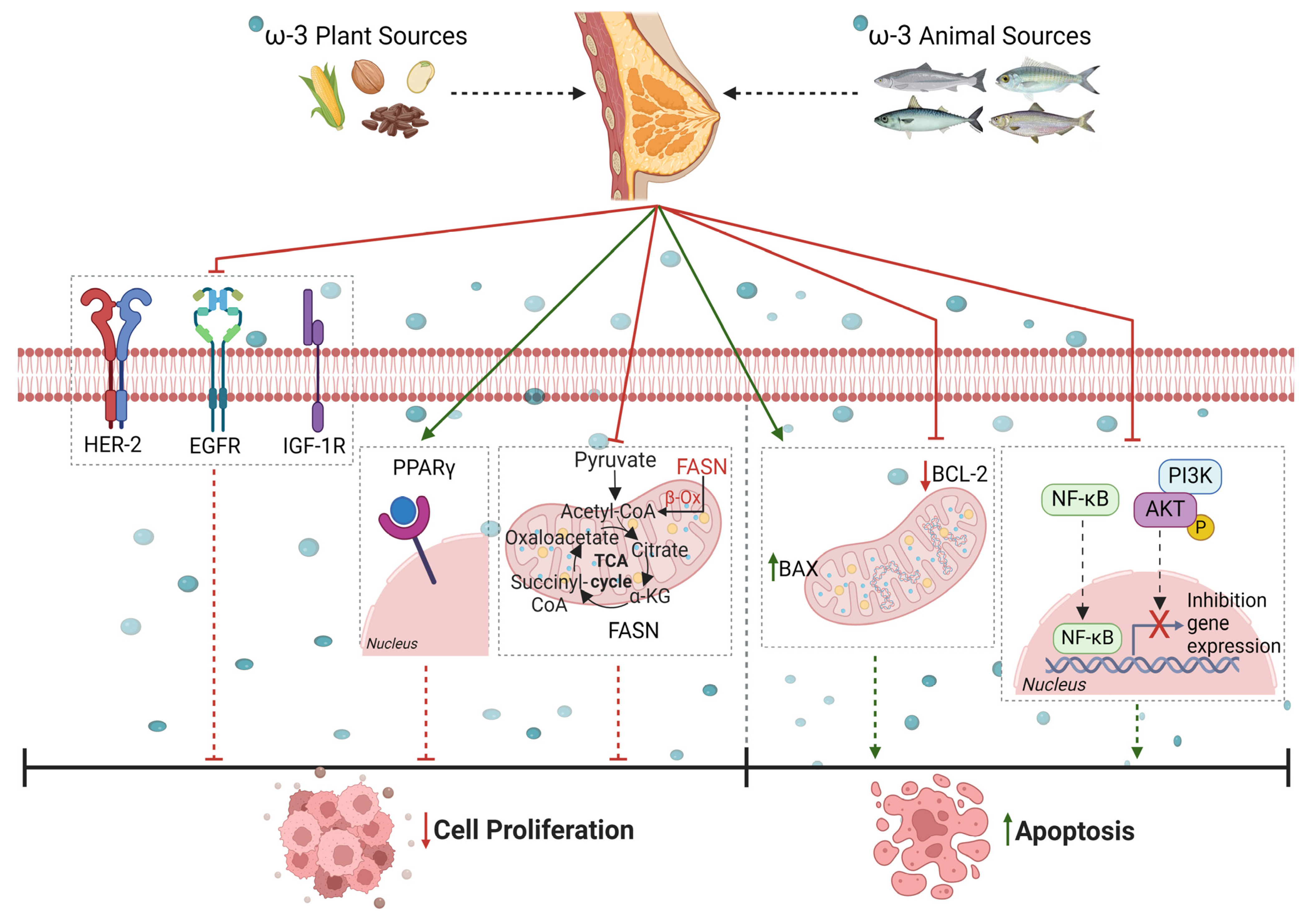 Nutrients 16 01883 g001