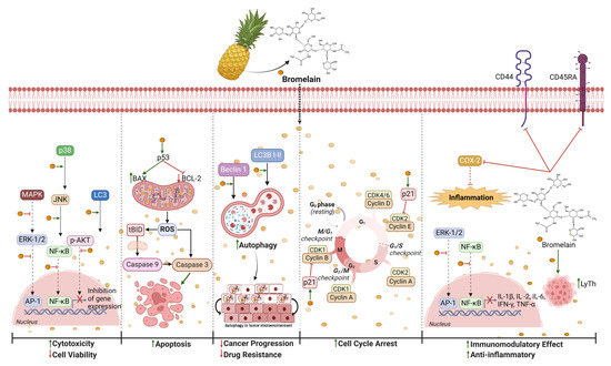 Synergic Role of Dietary Bioactive Compounds in Breast Cancer ...