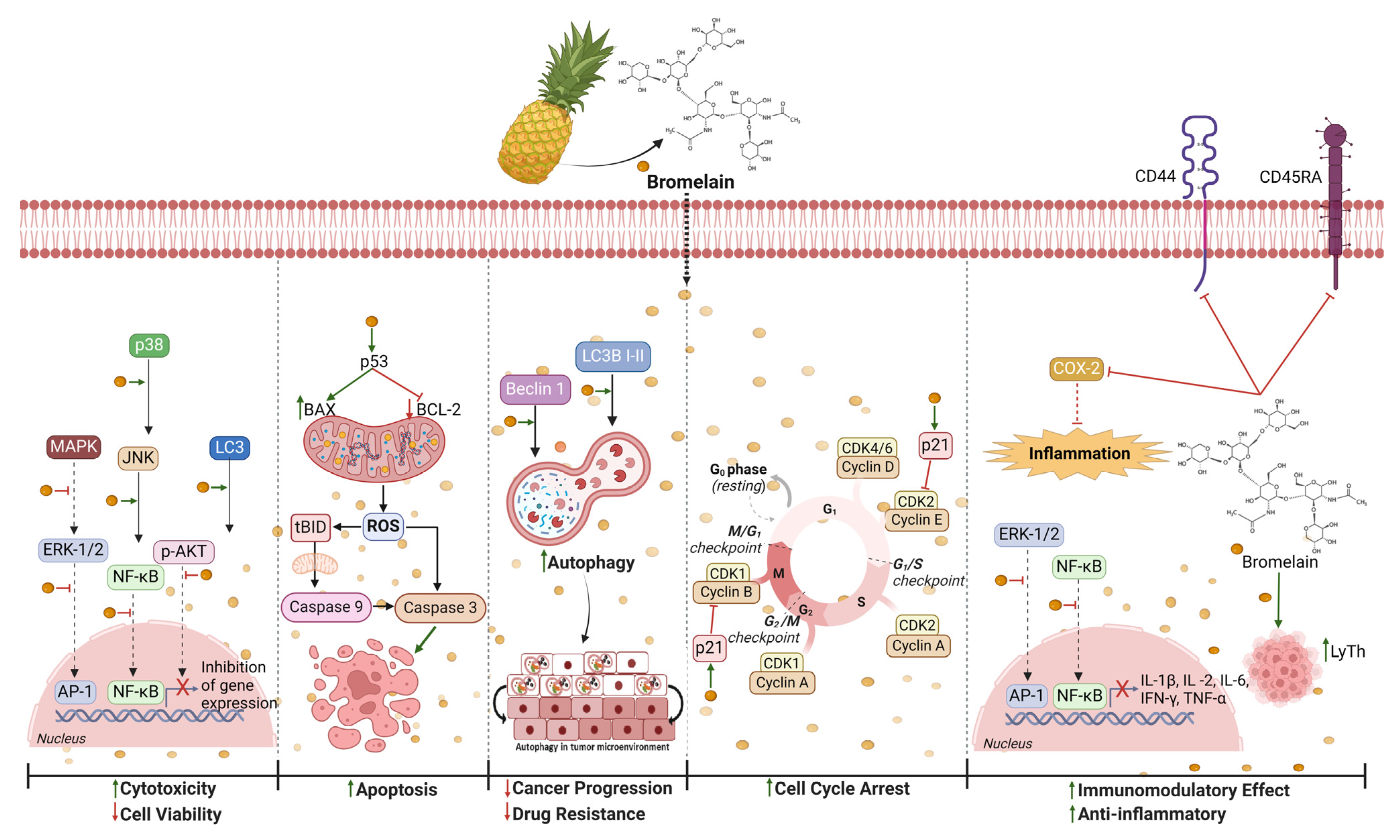 Nutrients 16 01883 g002