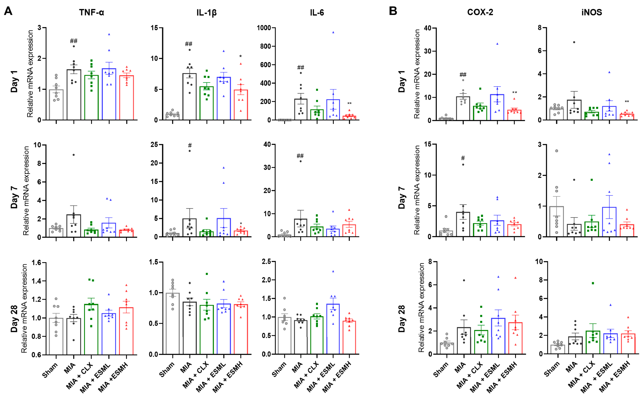 Nutrients 16 01885 g005