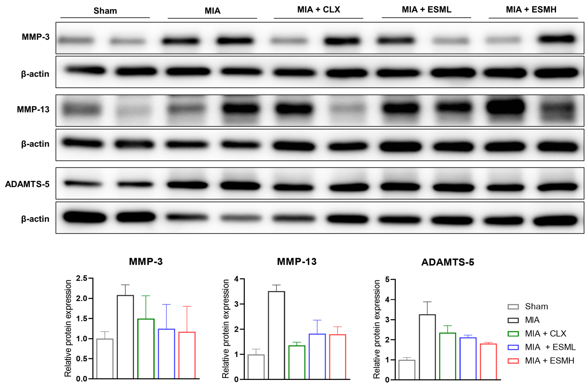 Nutrients 16 01885 g006