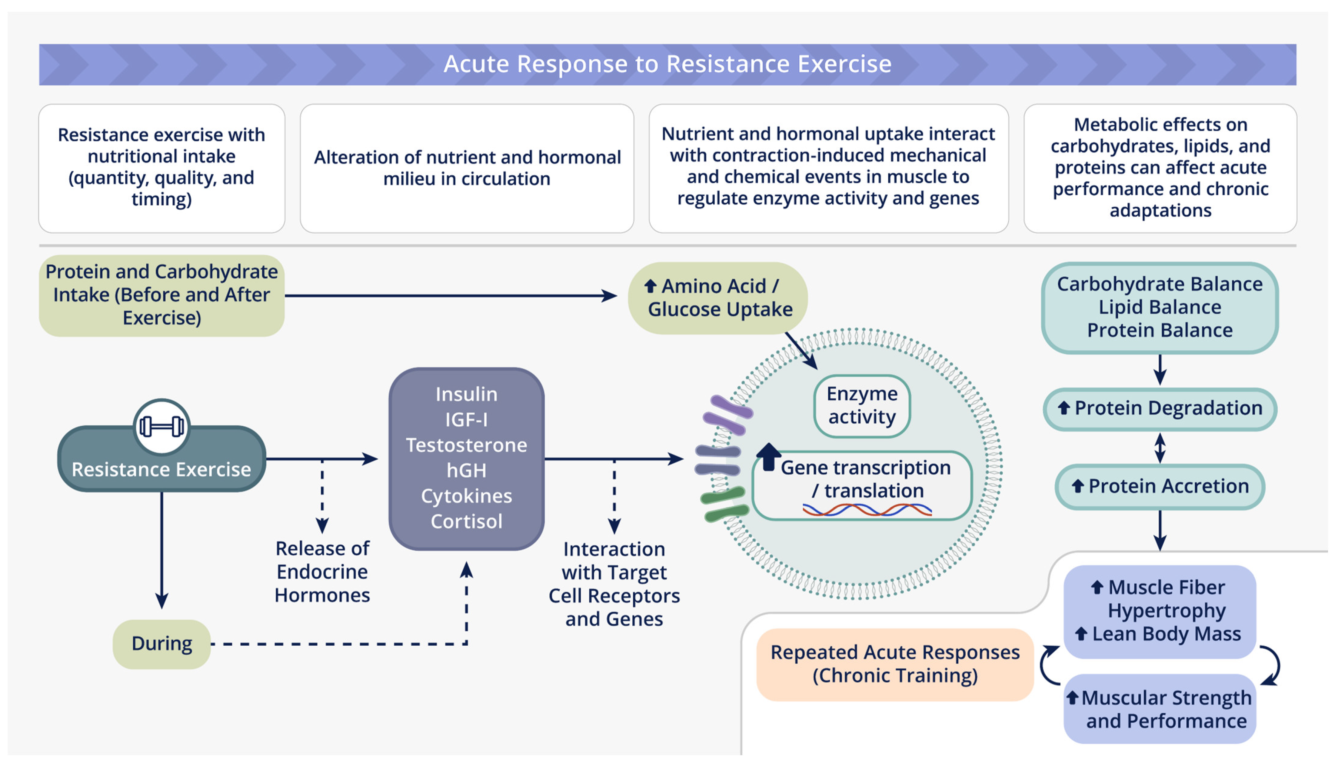 Nutrients 16 01886 g001 Nutrients 16 01886 g001
