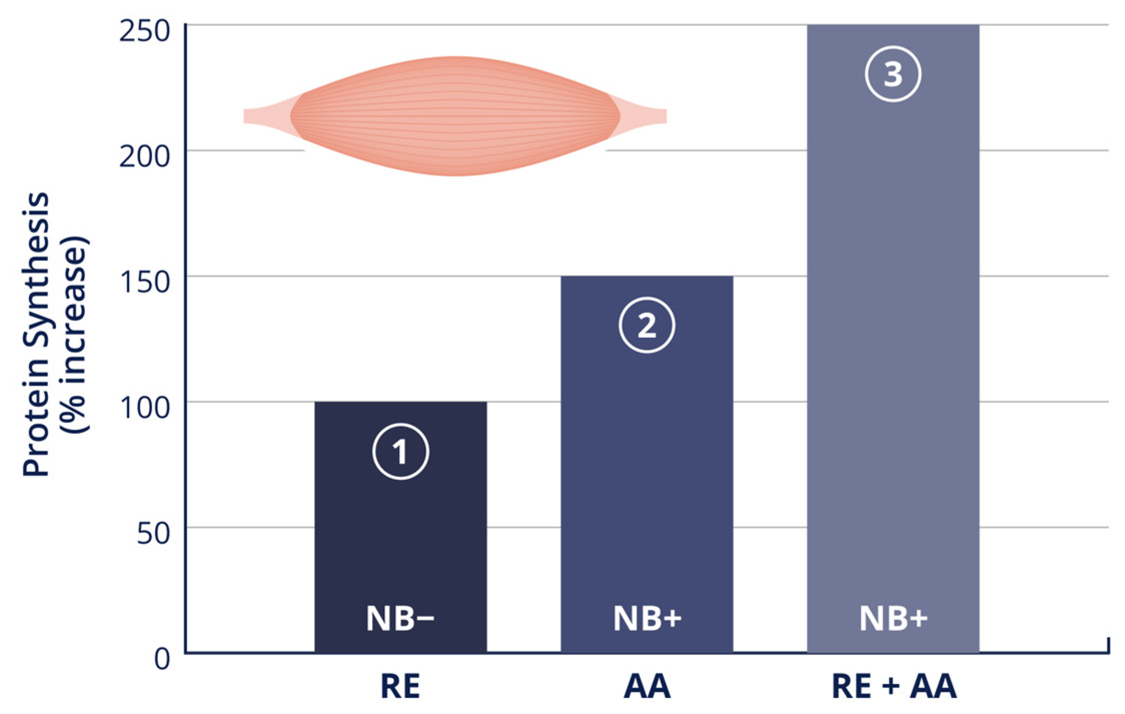 Nutrients 16 01886 g003 Nutrients 16 01886 g003