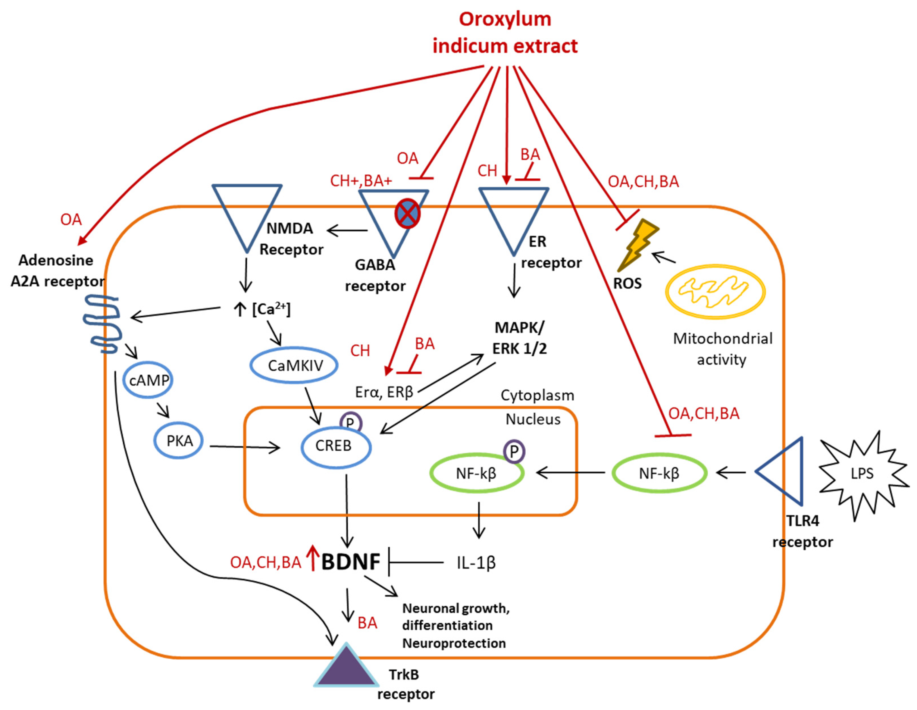 Nutrients 16 01887 g007