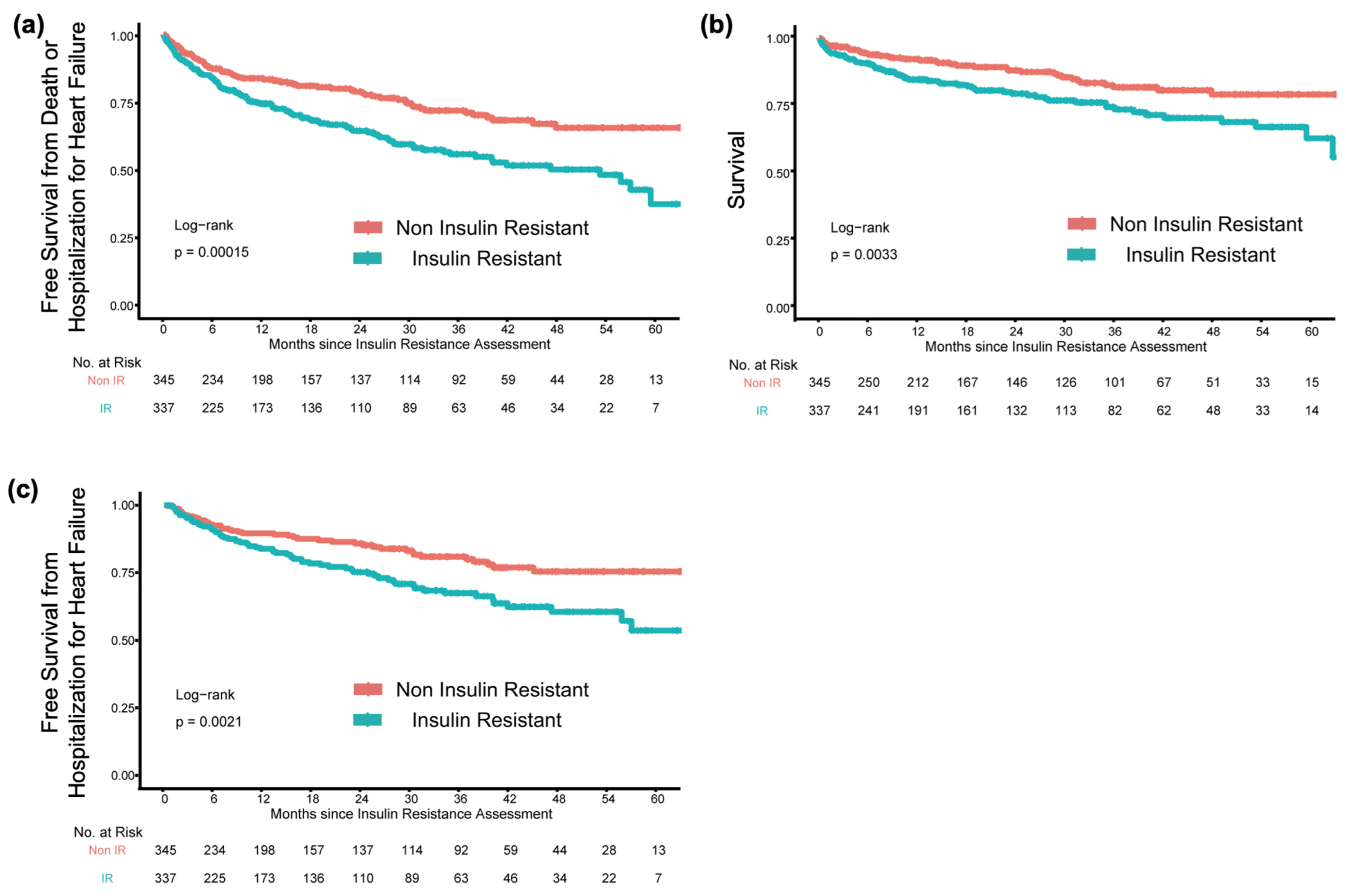 Nutrients 16 01888 g001
