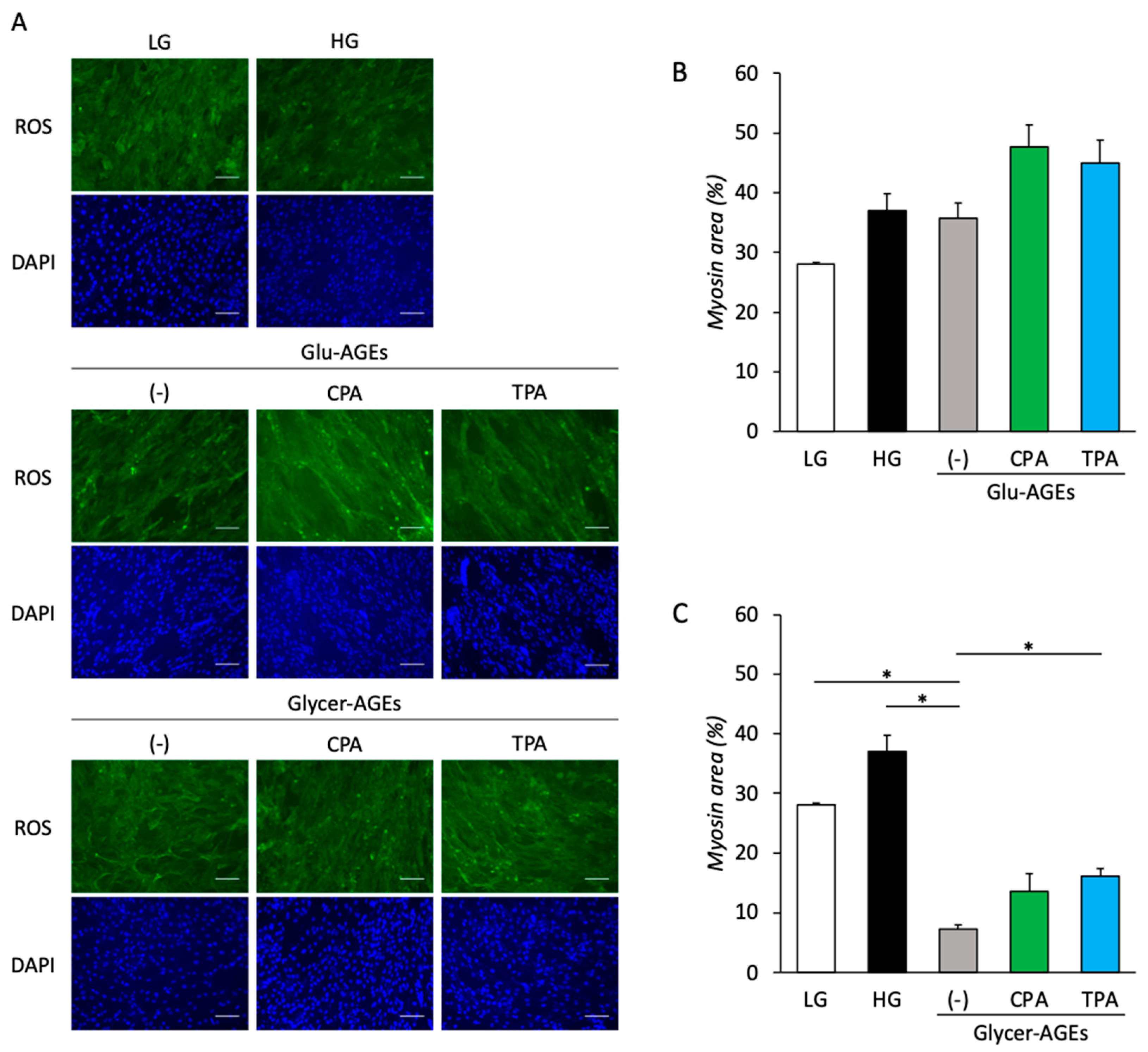 Nutrients 16 01898 g005
