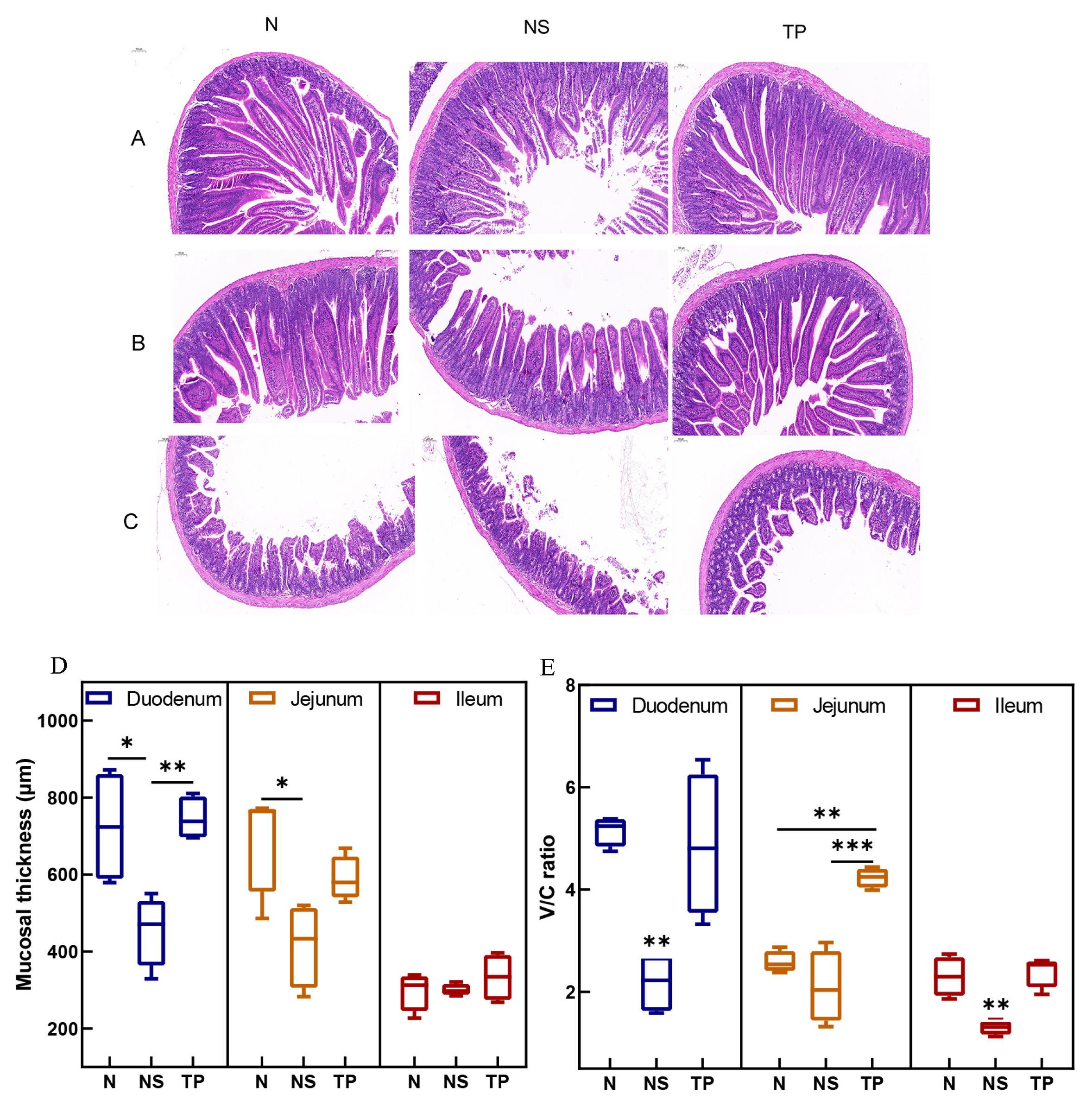Nutrients 16 01900 g005
