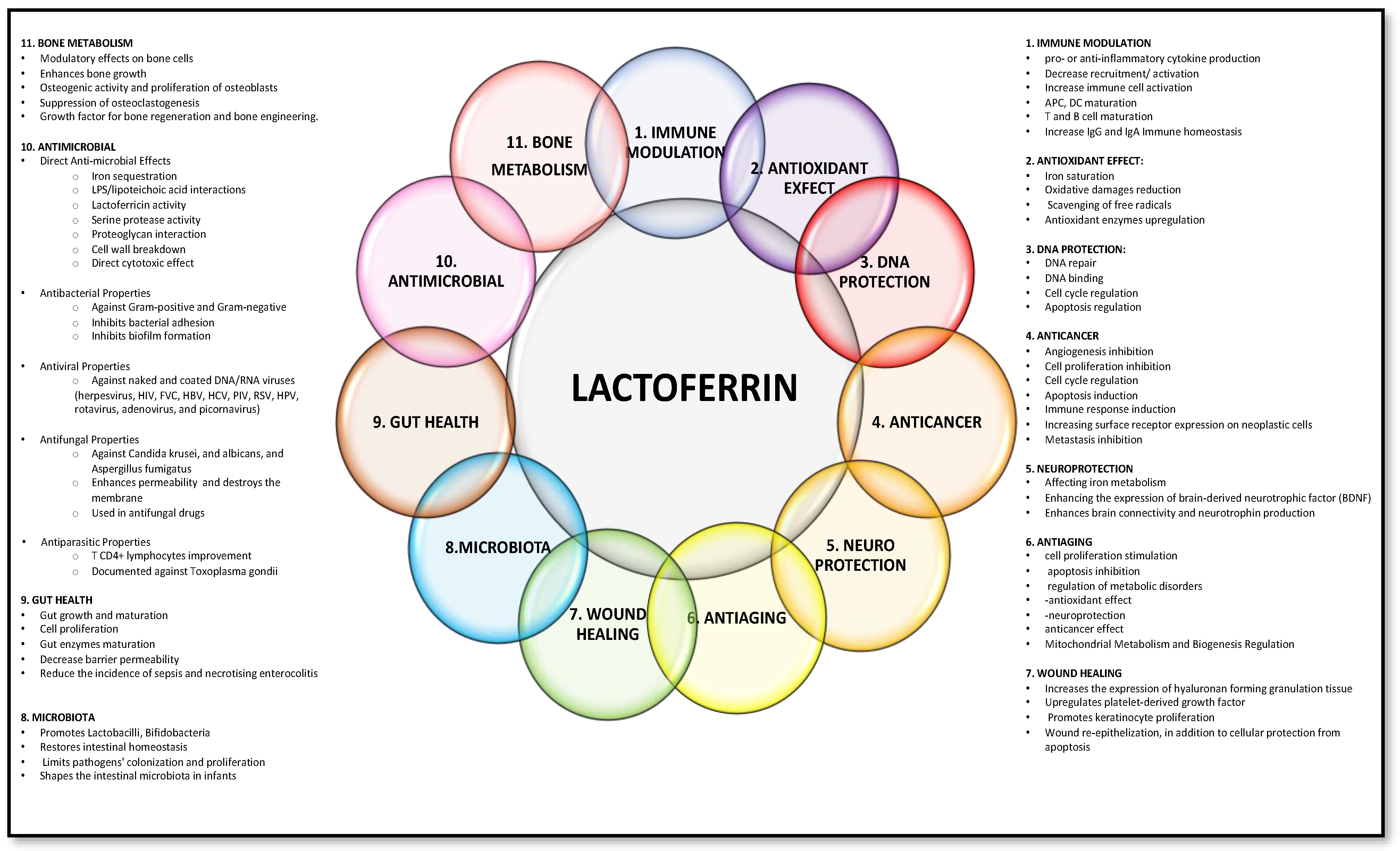 Nutrients 16 01906 g001