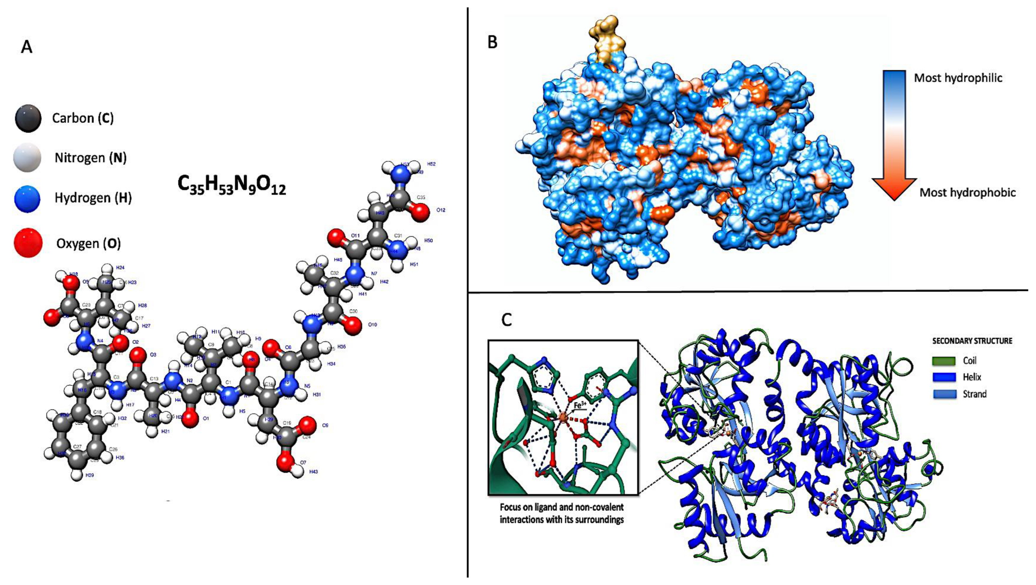 Nutrients 16 01906 g002 Nutrients 16 01906 g002