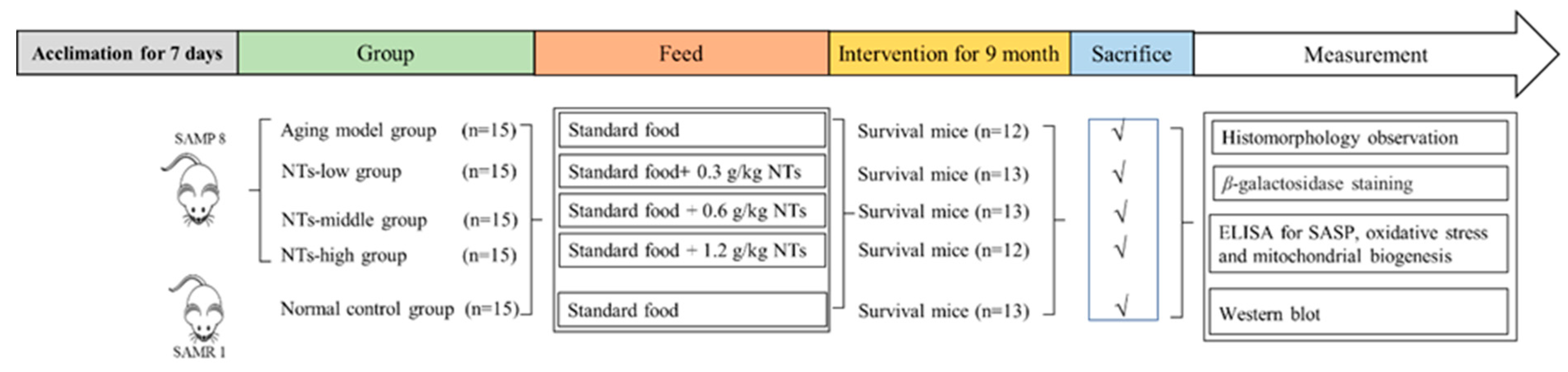 Nutrients 16 01907 g001