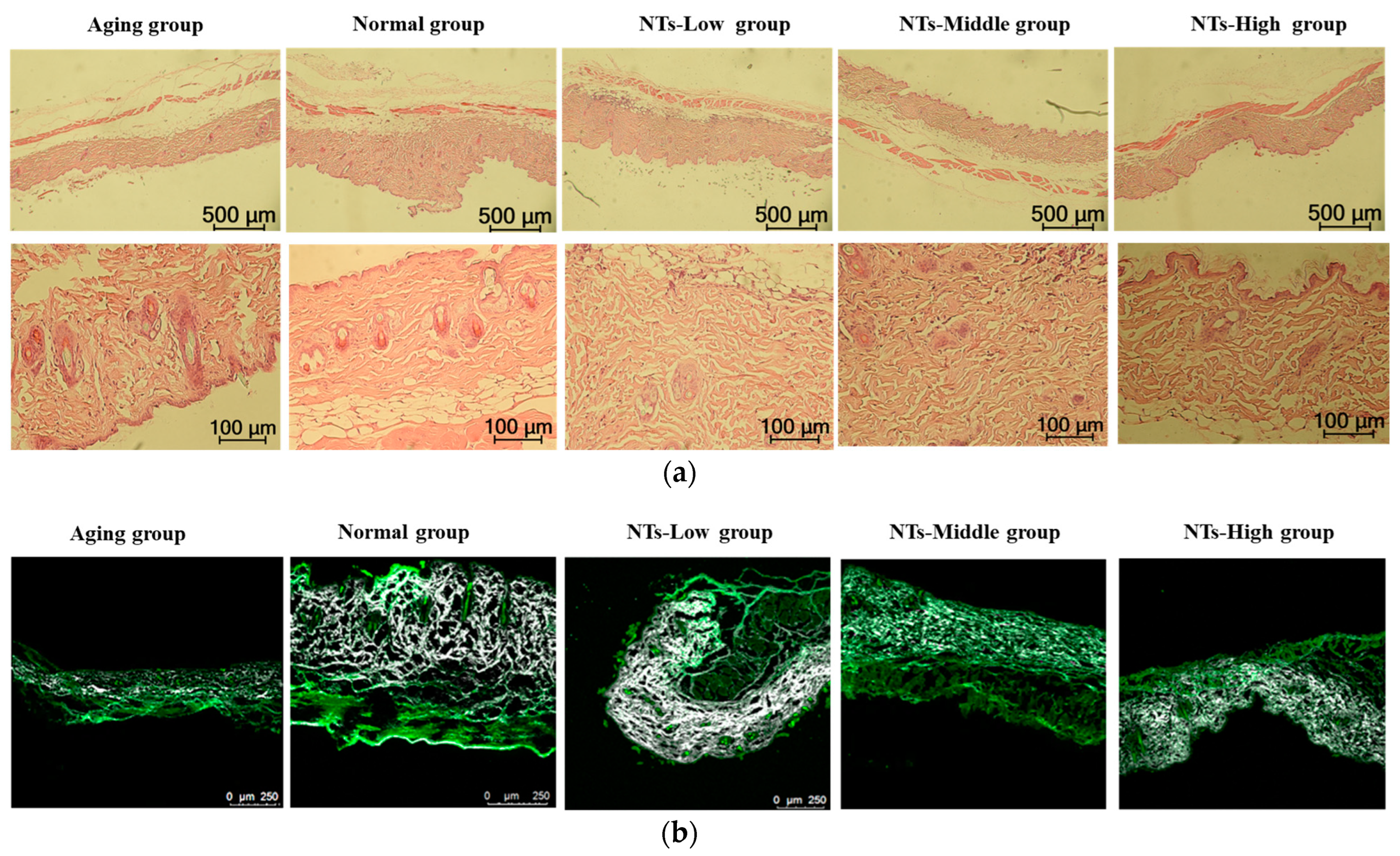 Nutrients 16 01907 g002a