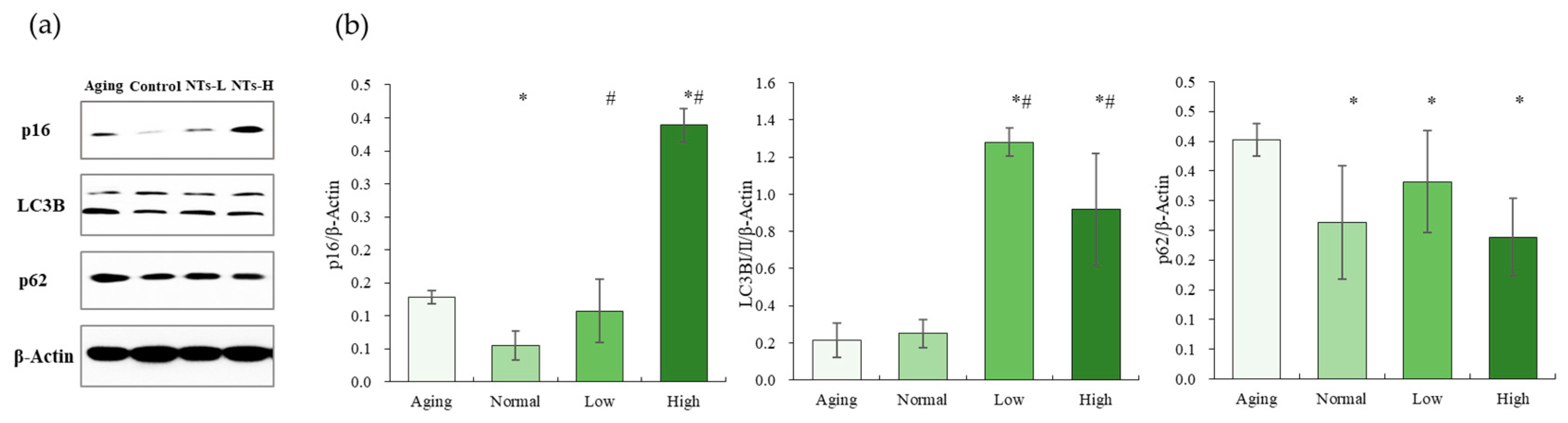 Nutrients 16 01907 g005