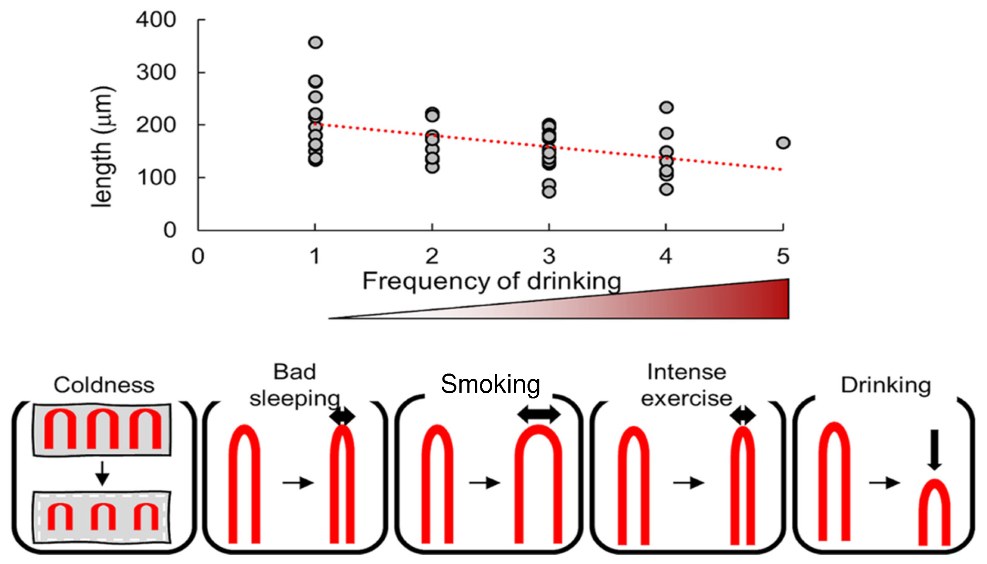 Nutrients 16 01914 g004