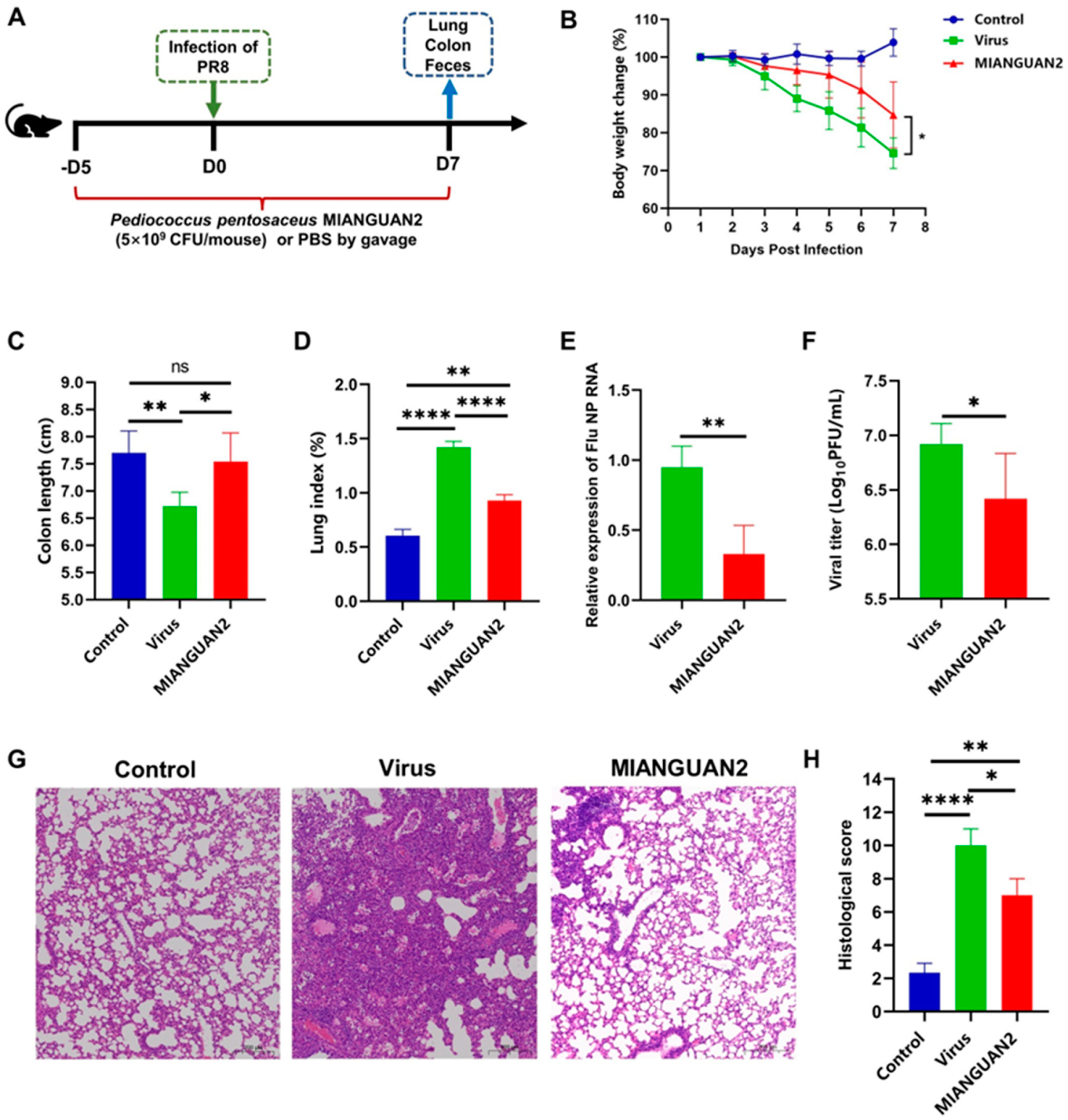 Nutrients 16 01923 g001 Nutrients 16 01923 g001