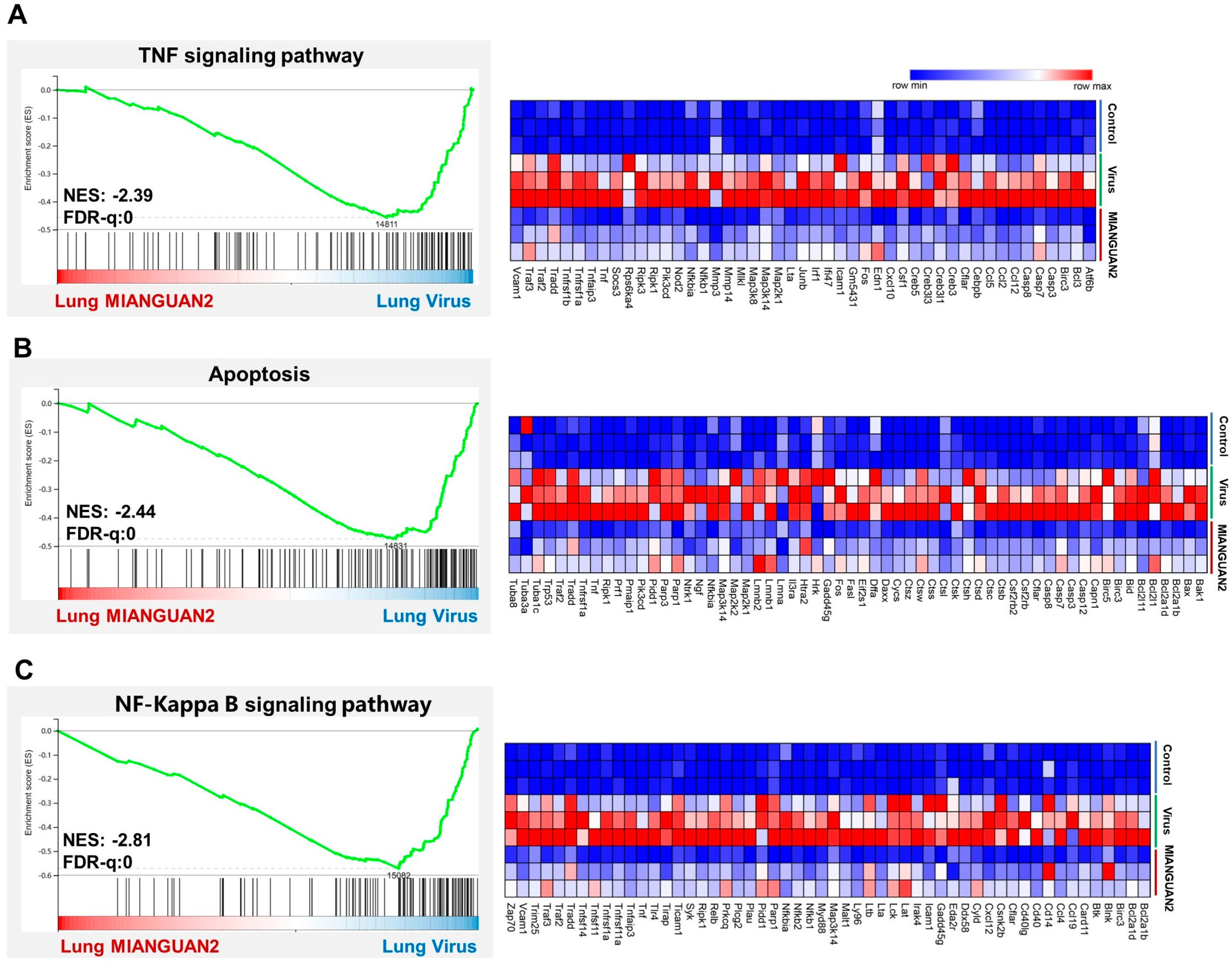 Nutrients 16 01923 g003 Nutrients 16 01923 g003
