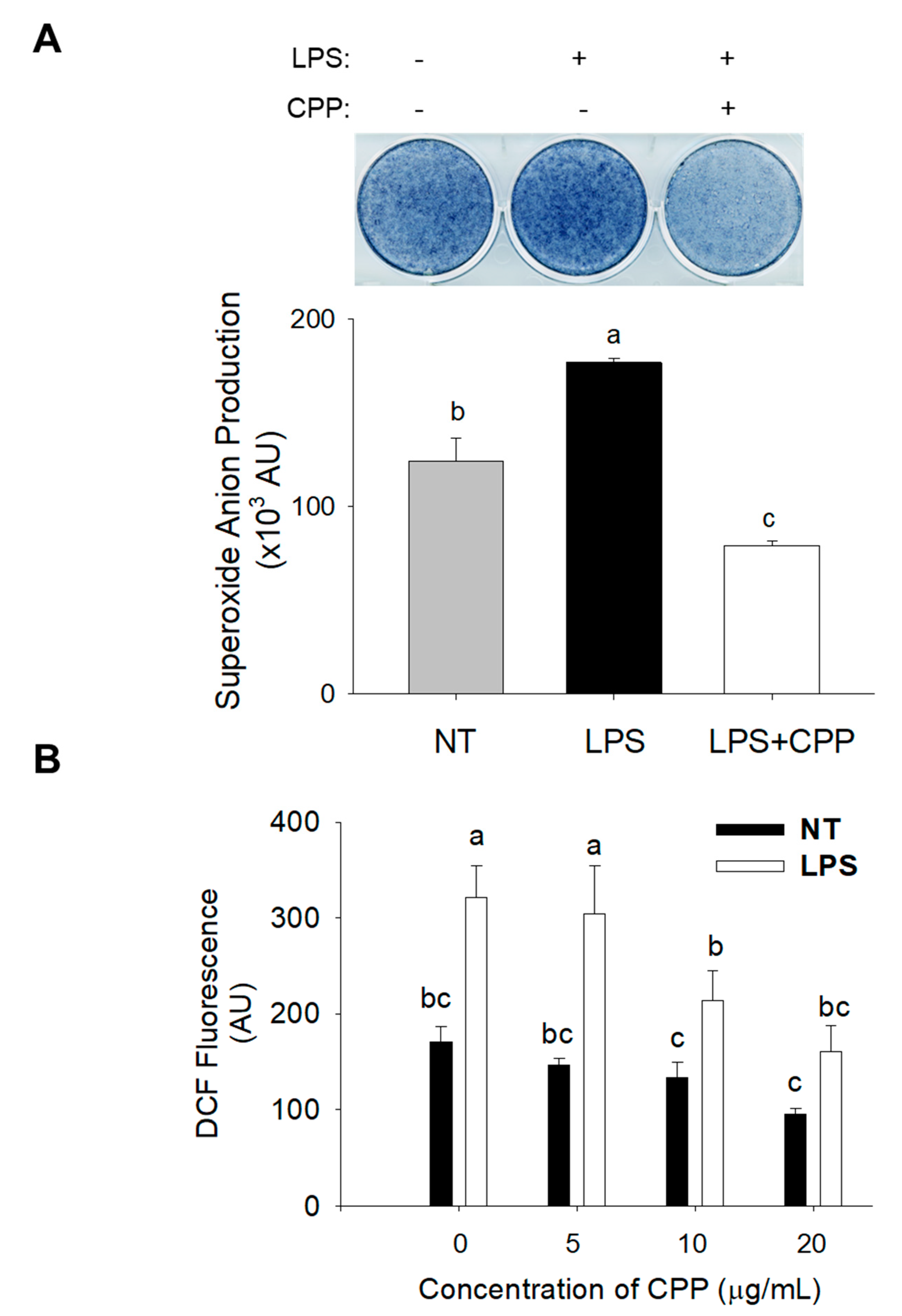Nutrients 16 01924 g002 Nutrients 16 01924 g002
