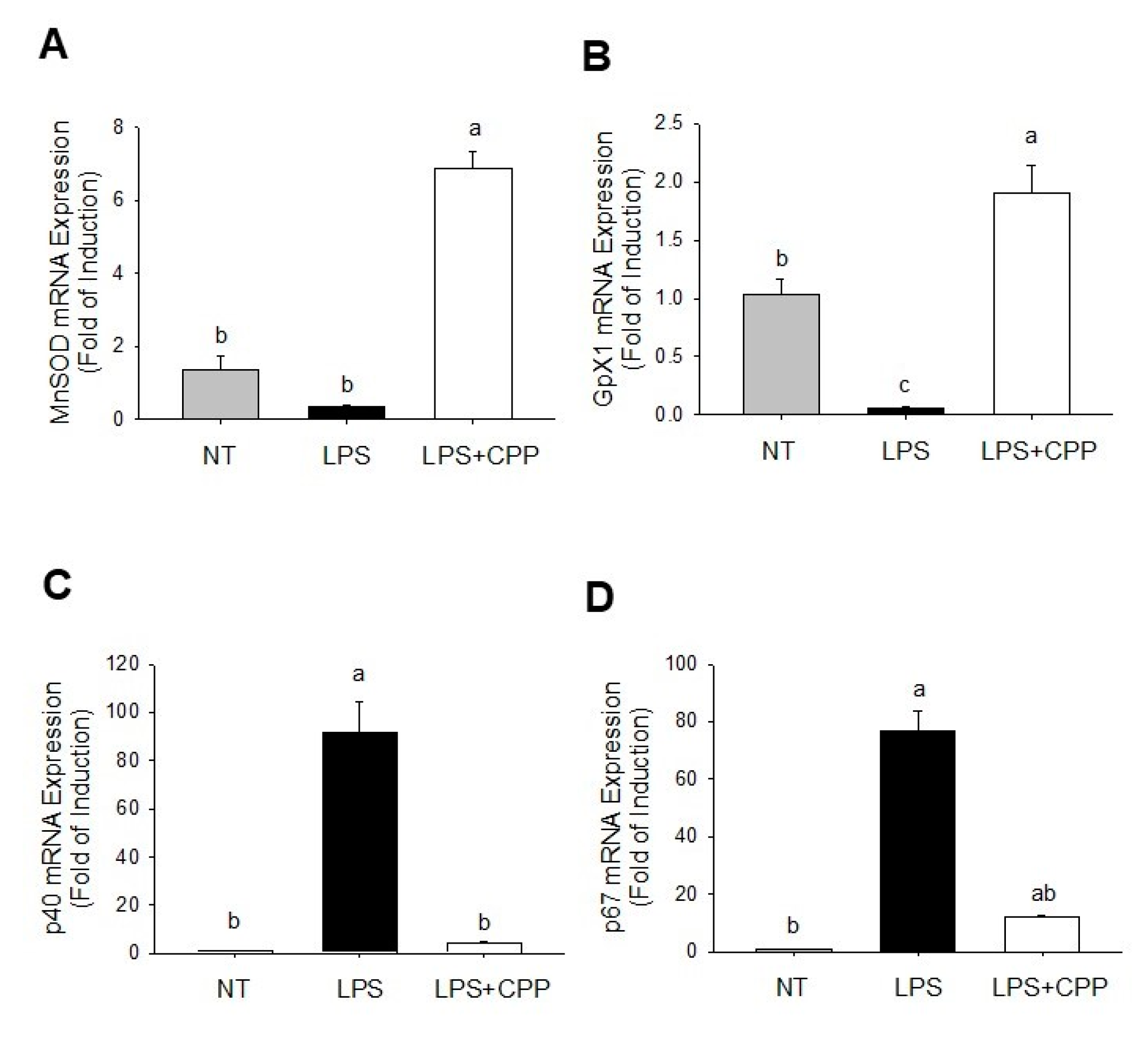 Nutrients 16 01924 g003 Nutrients 16 01924 g003
