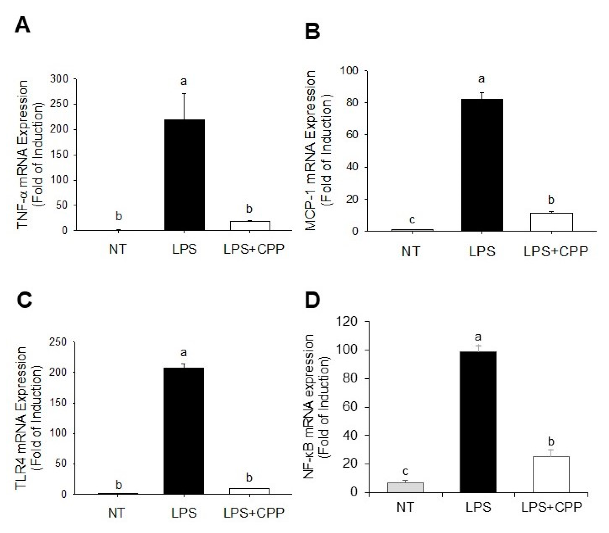 Nutrients 16 01924 g004 Nutrients 16 01924 g004