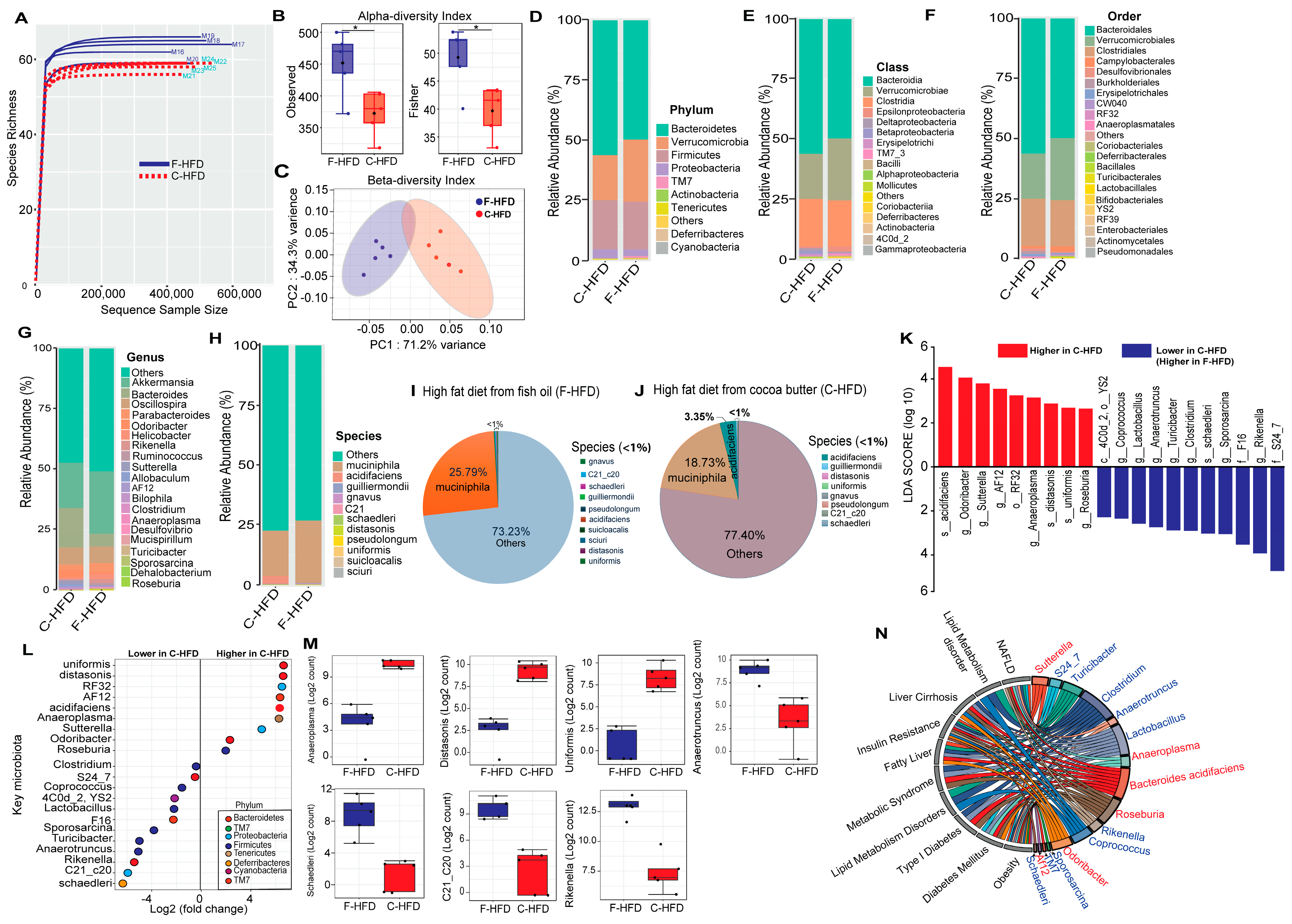Nutrients 16 01929 g001 Nutrients 16 01929 g001
