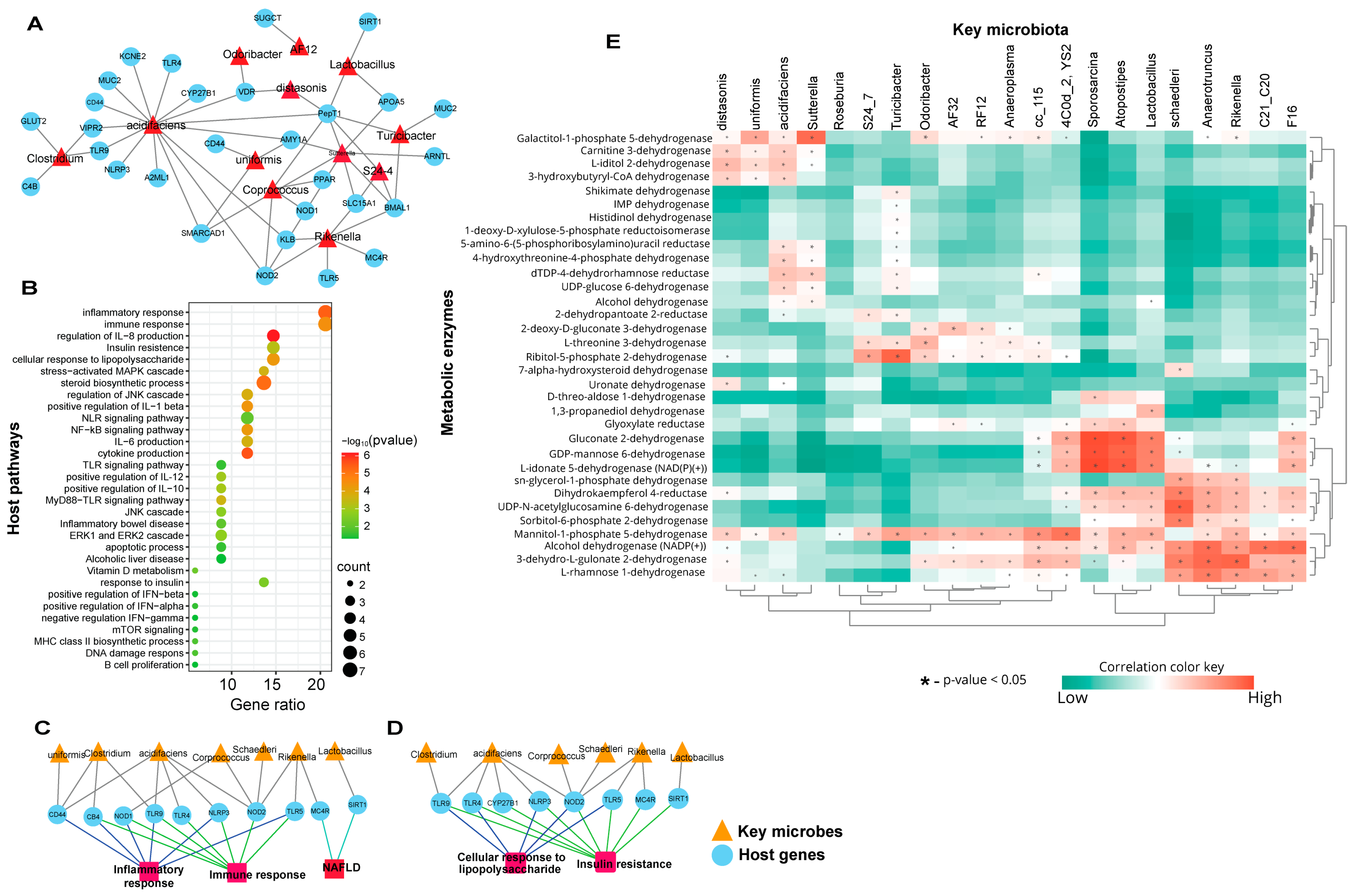 Nutrients 16 01929 g002 Nutrients 16 01929 g002