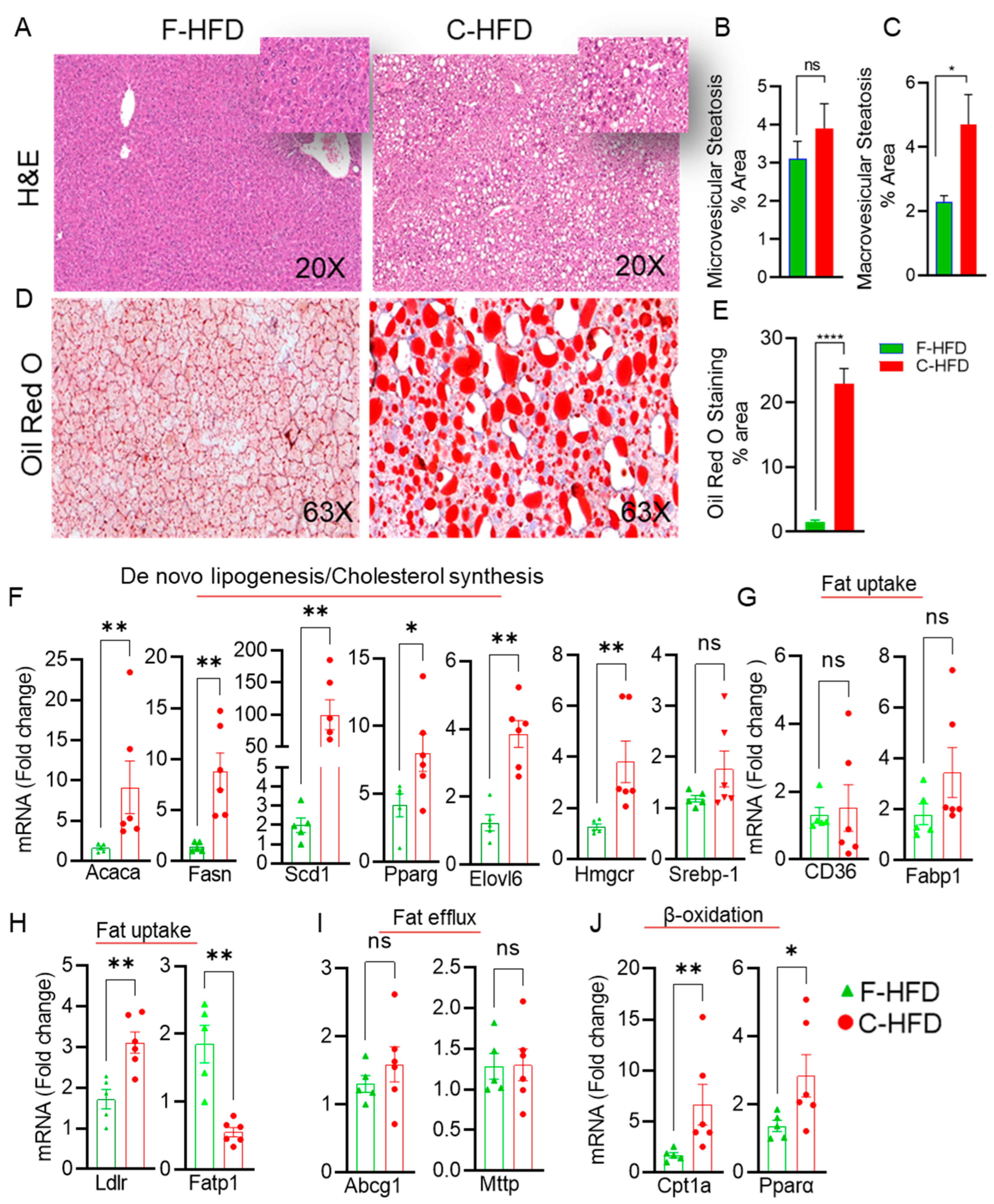 Nutrients 16 01929 g003 Nutrients 16 01929 g003