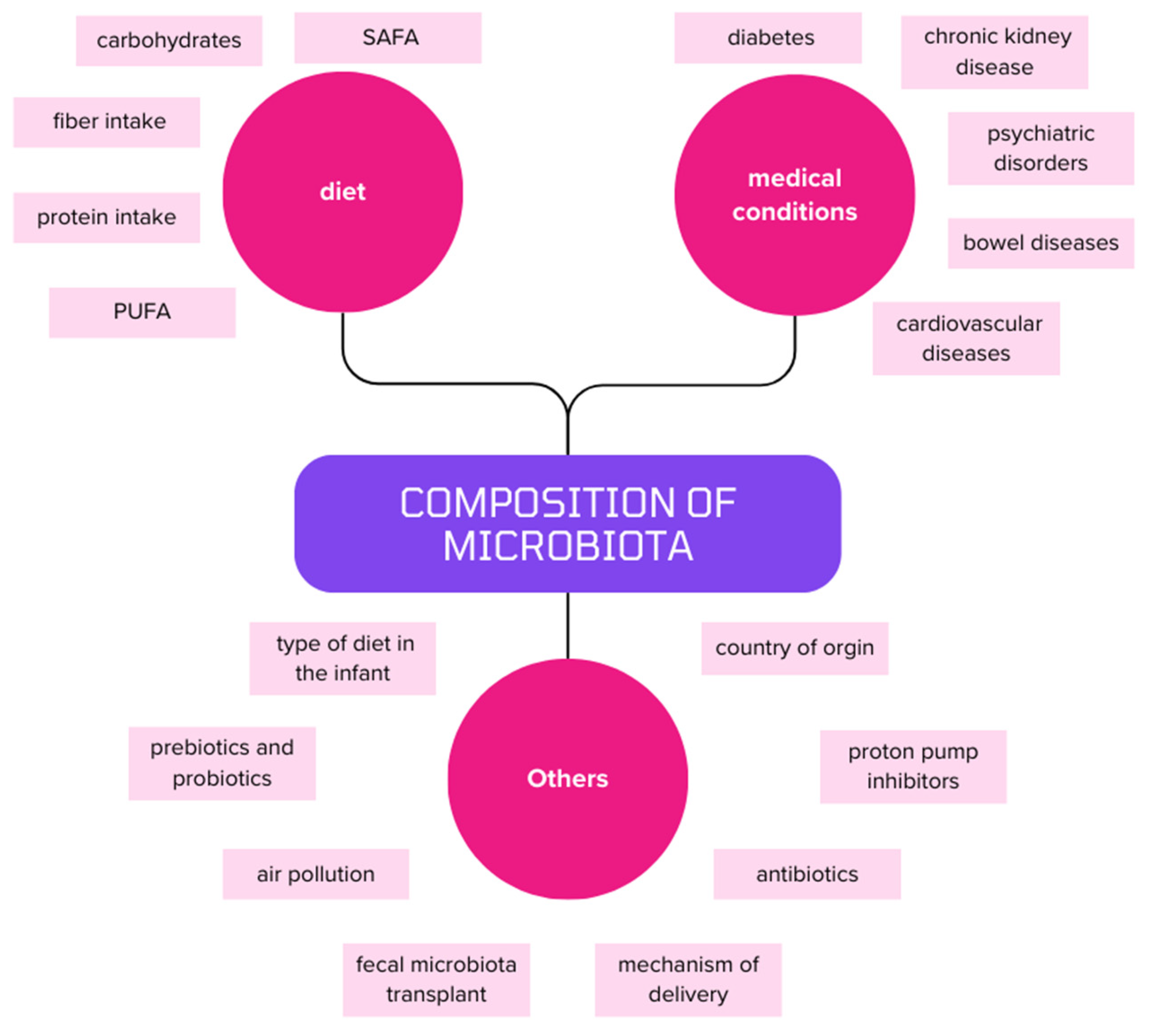 Nutrients 16 01938 g001