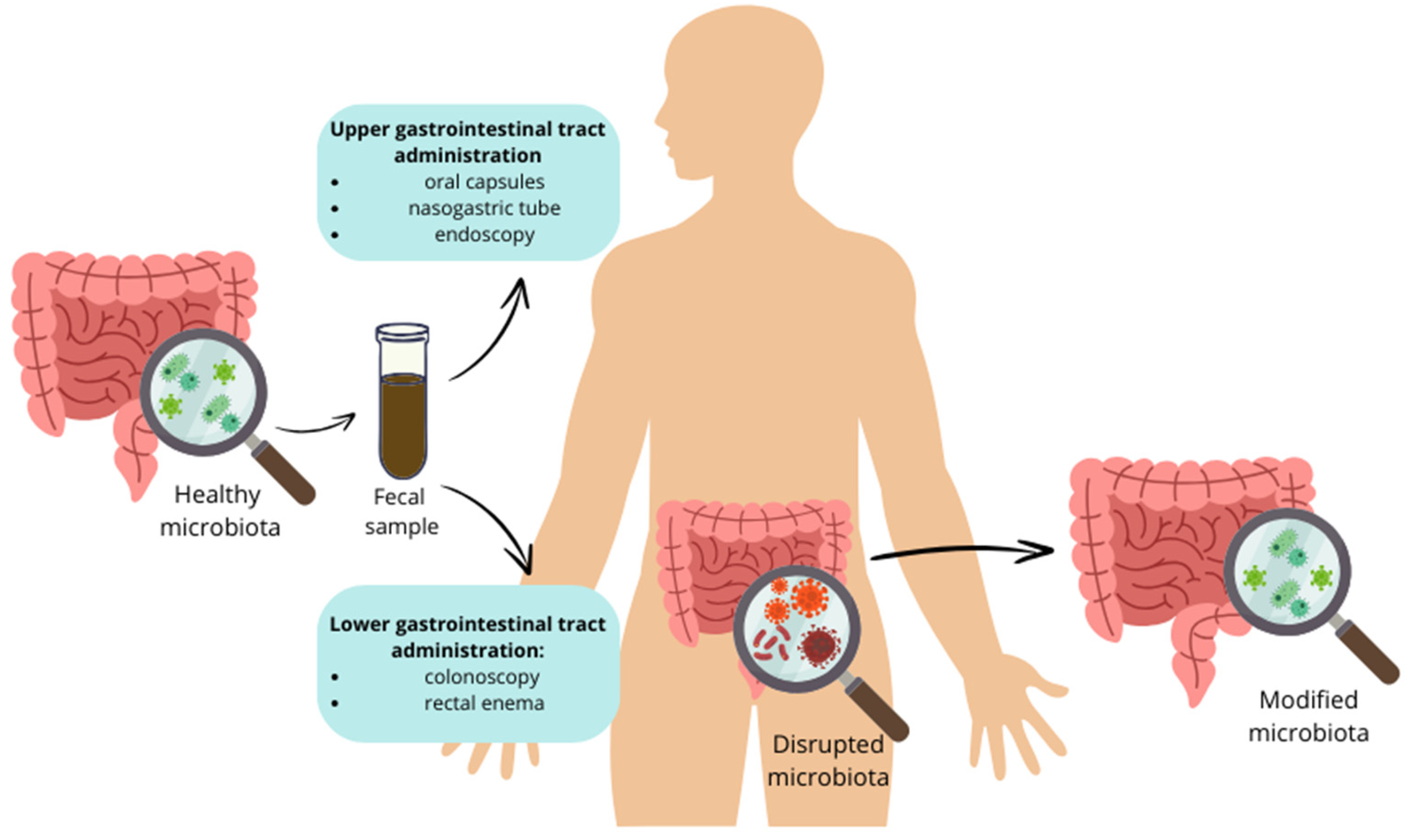 Nutrients 16 01938 g003