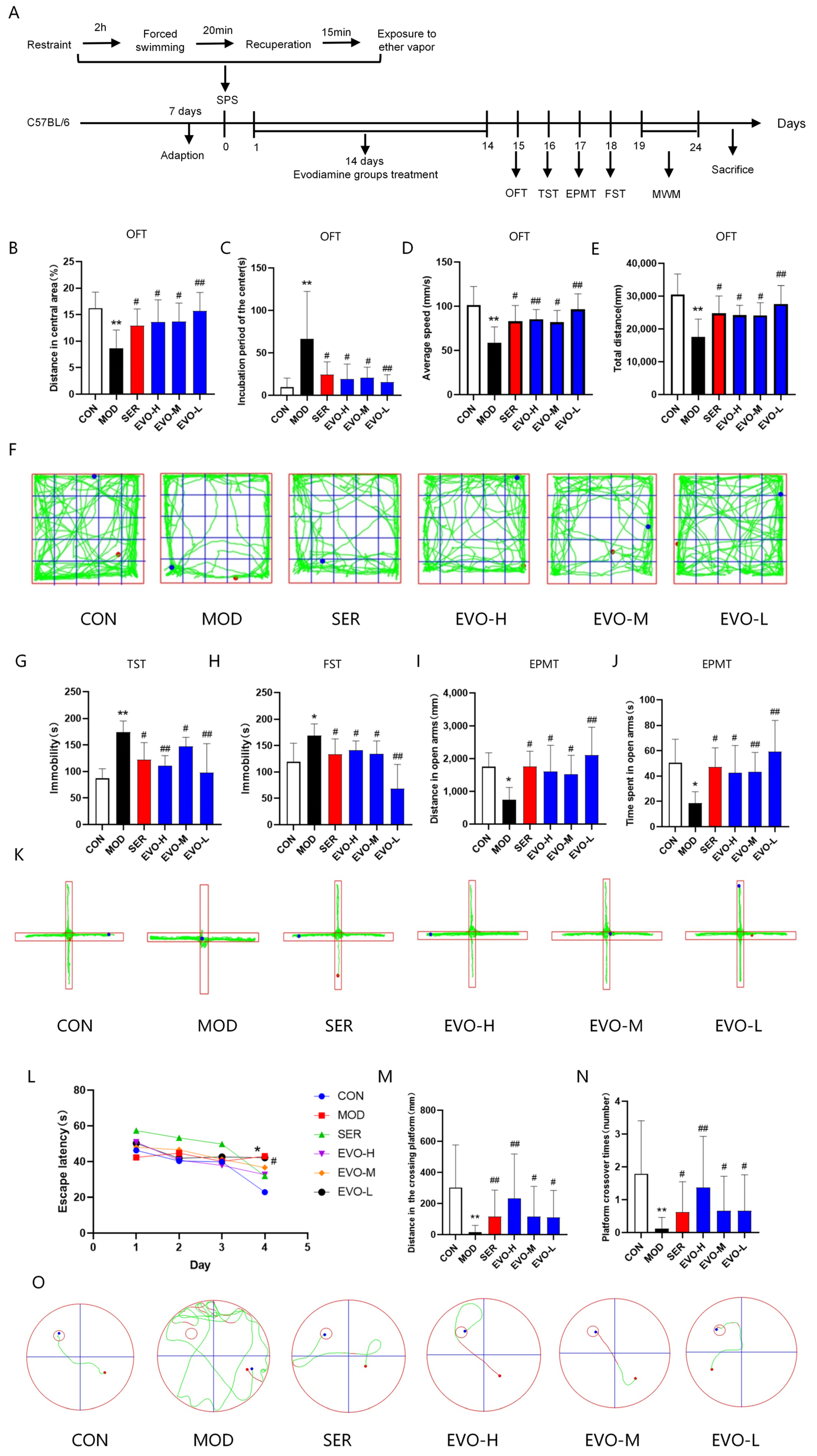Nutrients 16 01957 g001 Nutrients 16 01957 g001