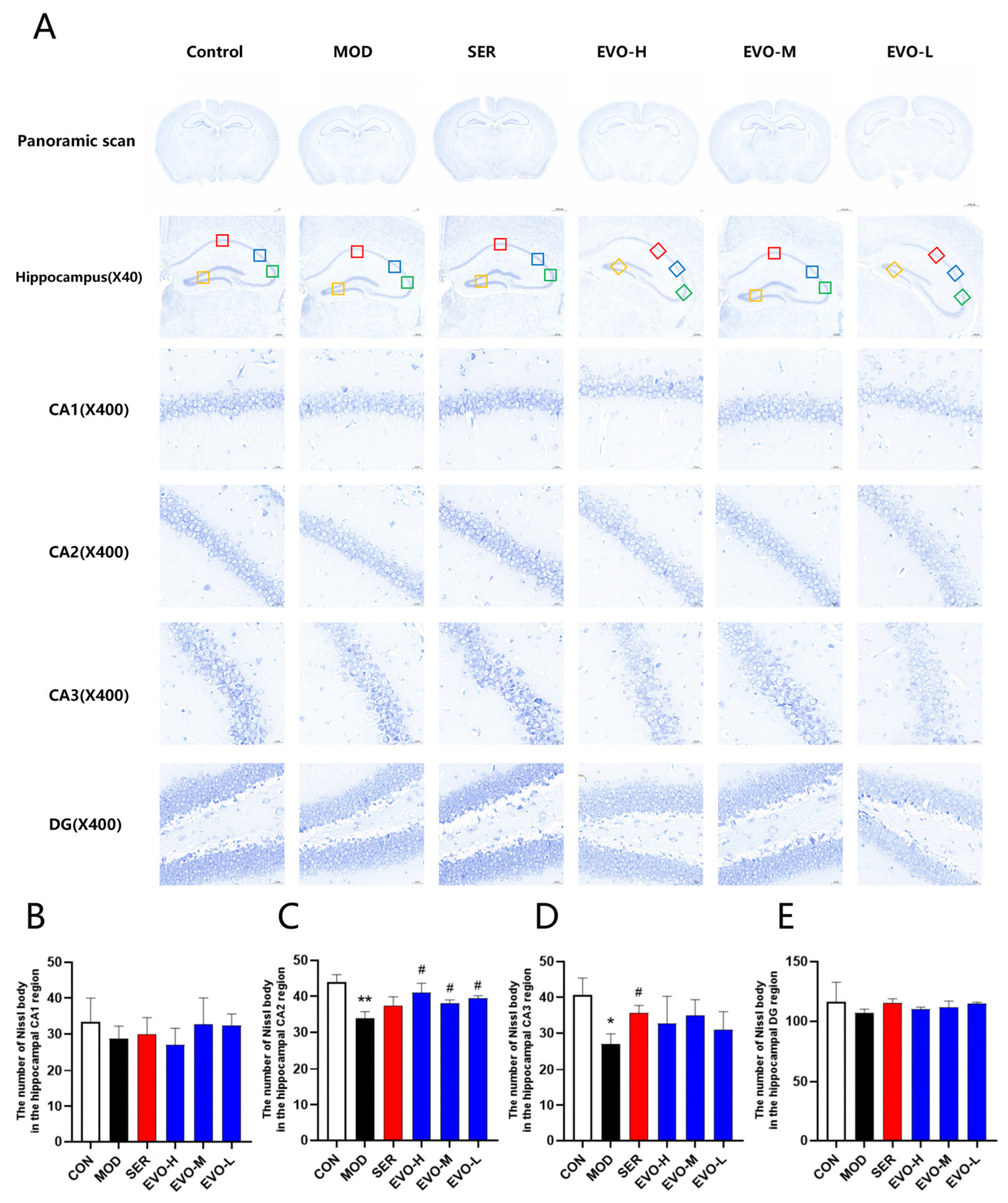 Nutrients 16 01957 g003 Nutrients 16 01957 g003
