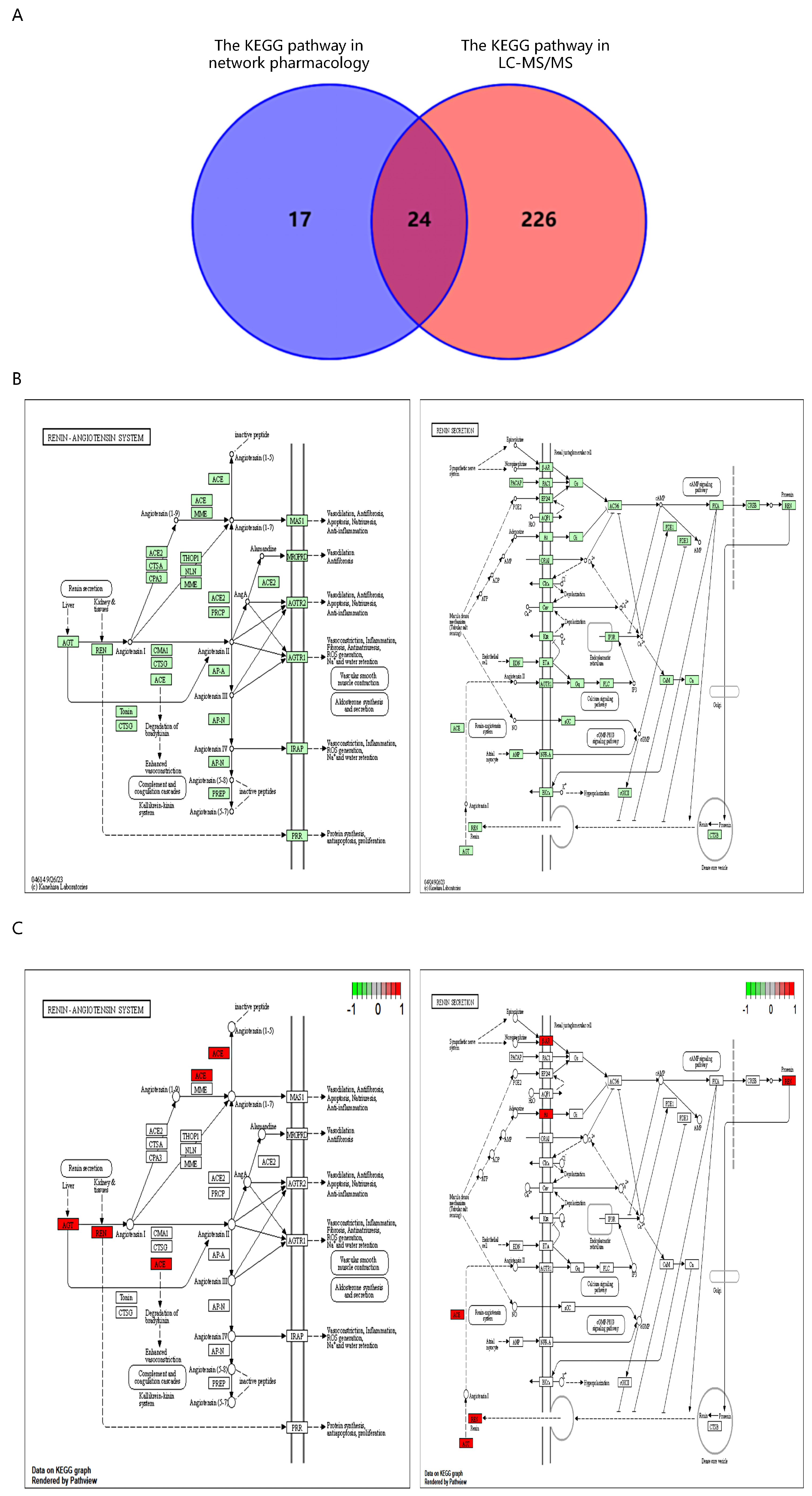 Nutrients 16 01957 g006 Nutrients 16 01957 g006