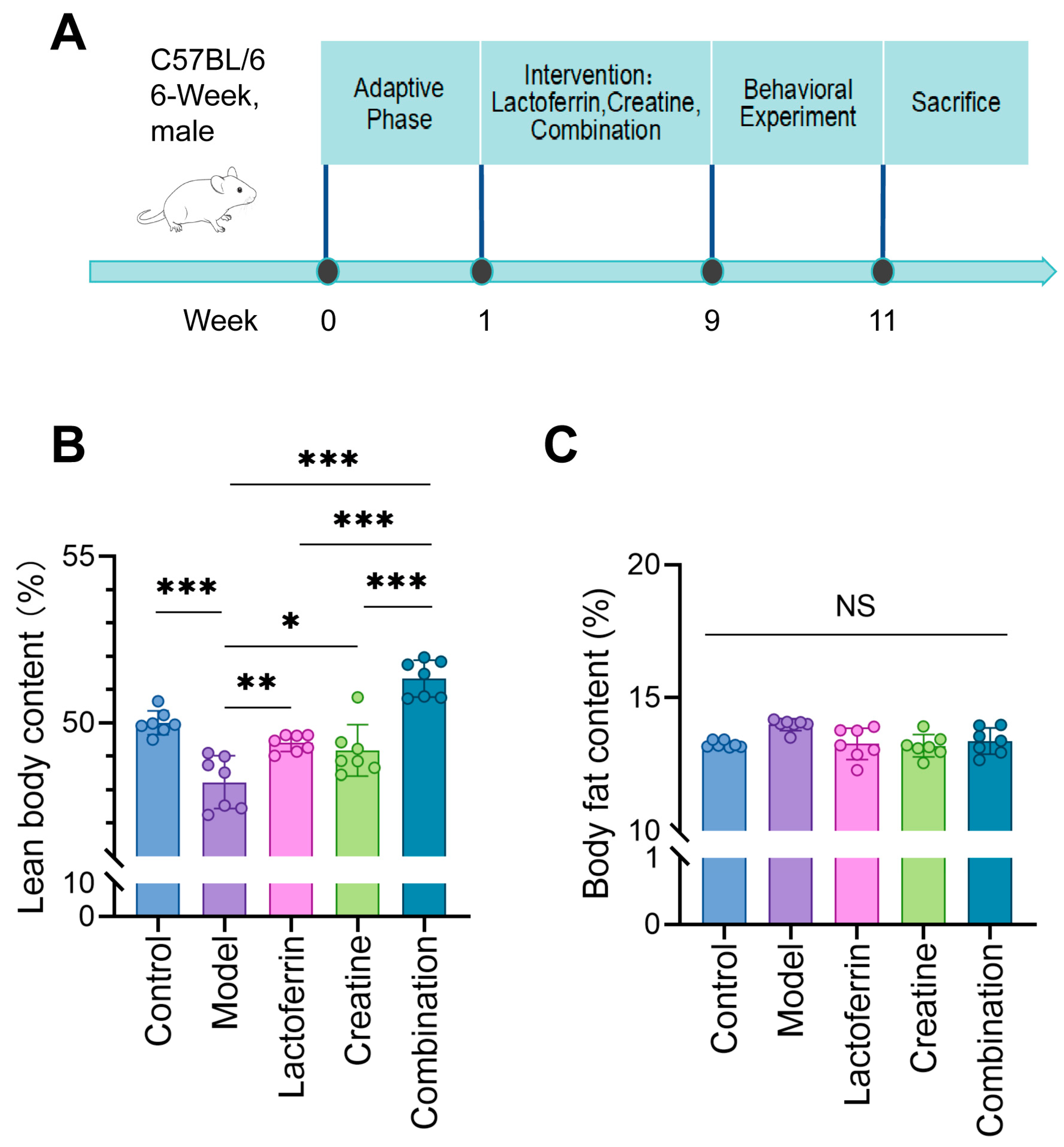 Nutrients 16 01958 g001