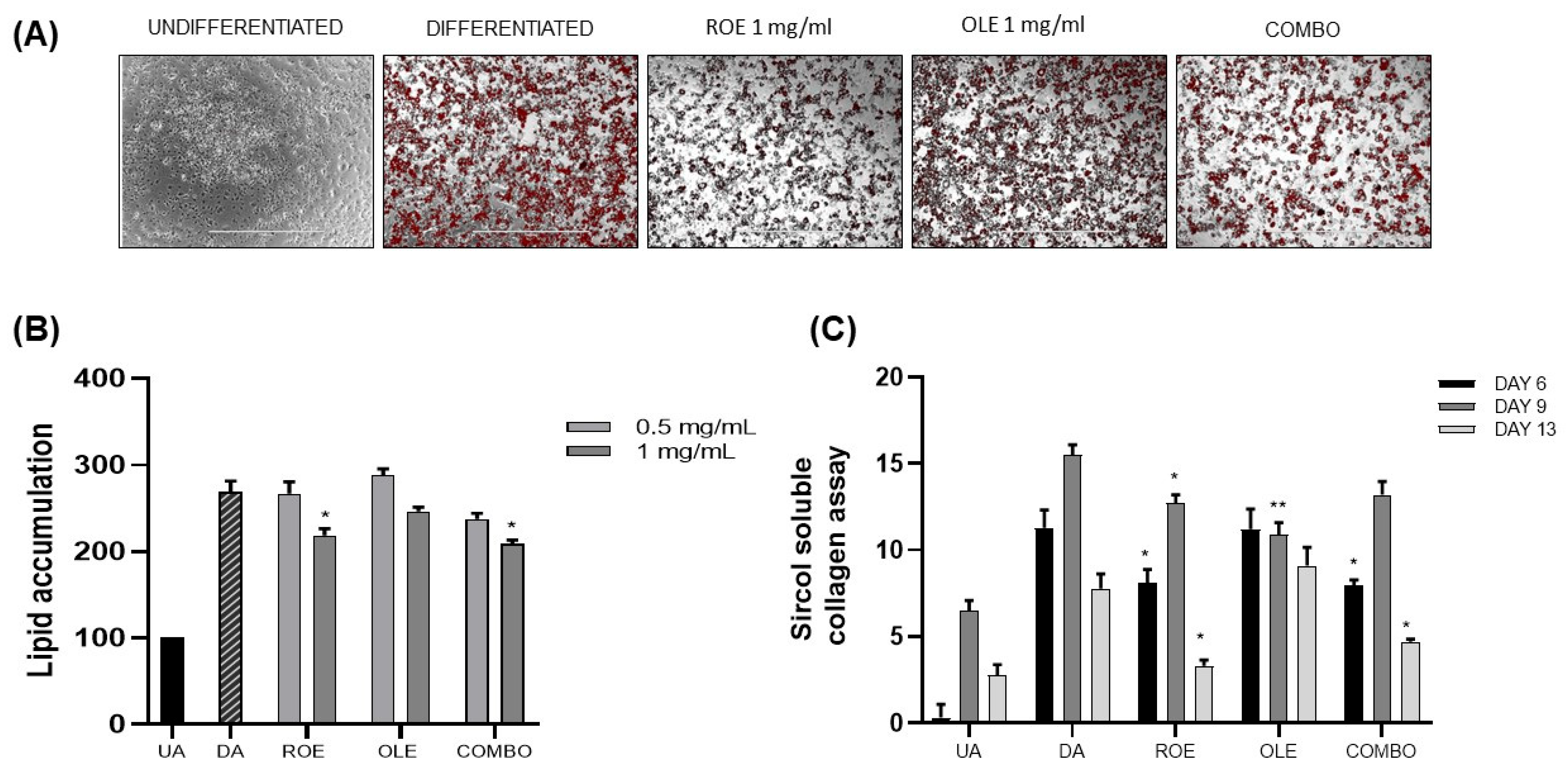Nutrients 16 01959 g002