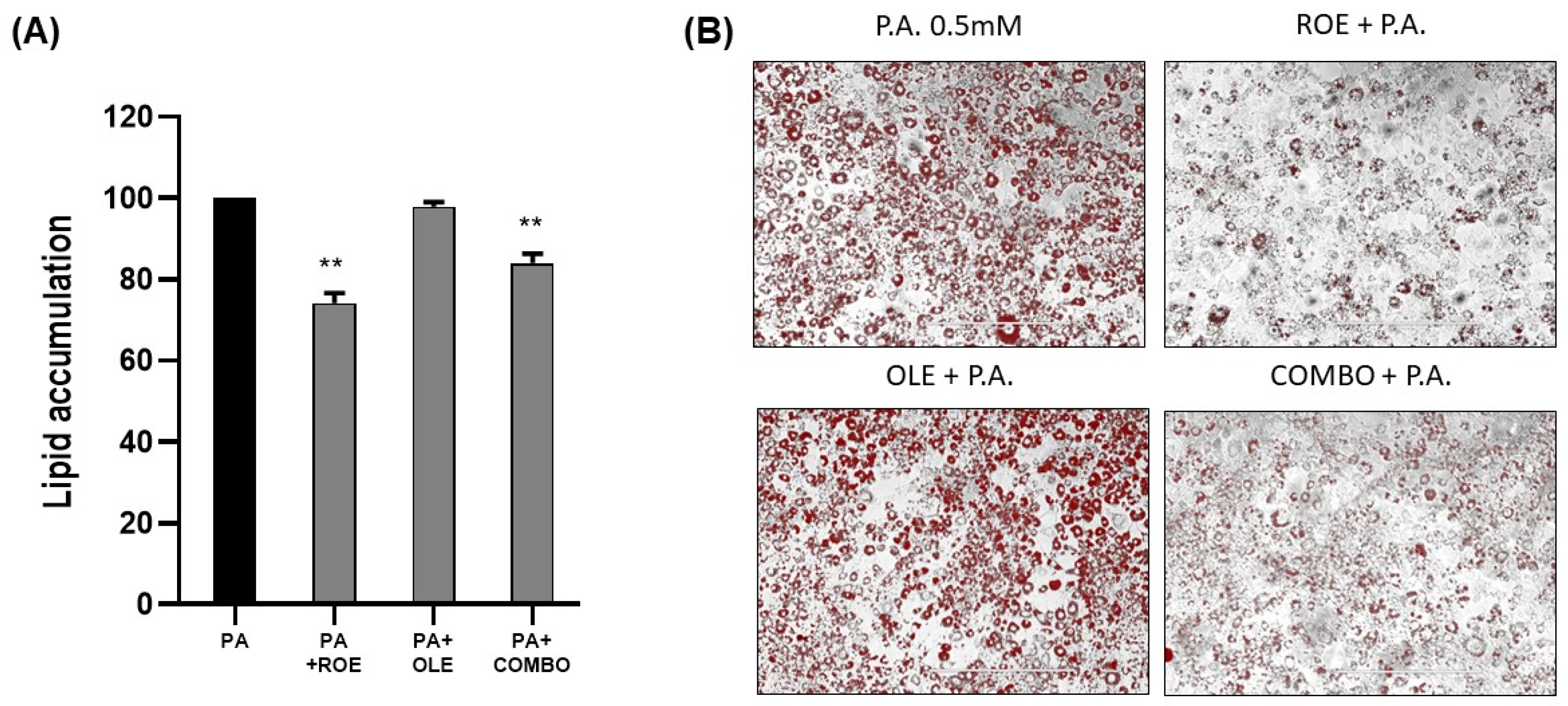 Nutrients 16 01959 g003